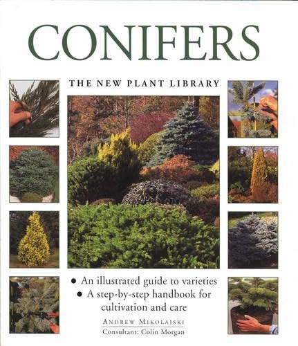 Conifers (The Little Plant Library Series) Garden & Plants