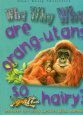 Why Why Why are Orang-utans So Hairy? book