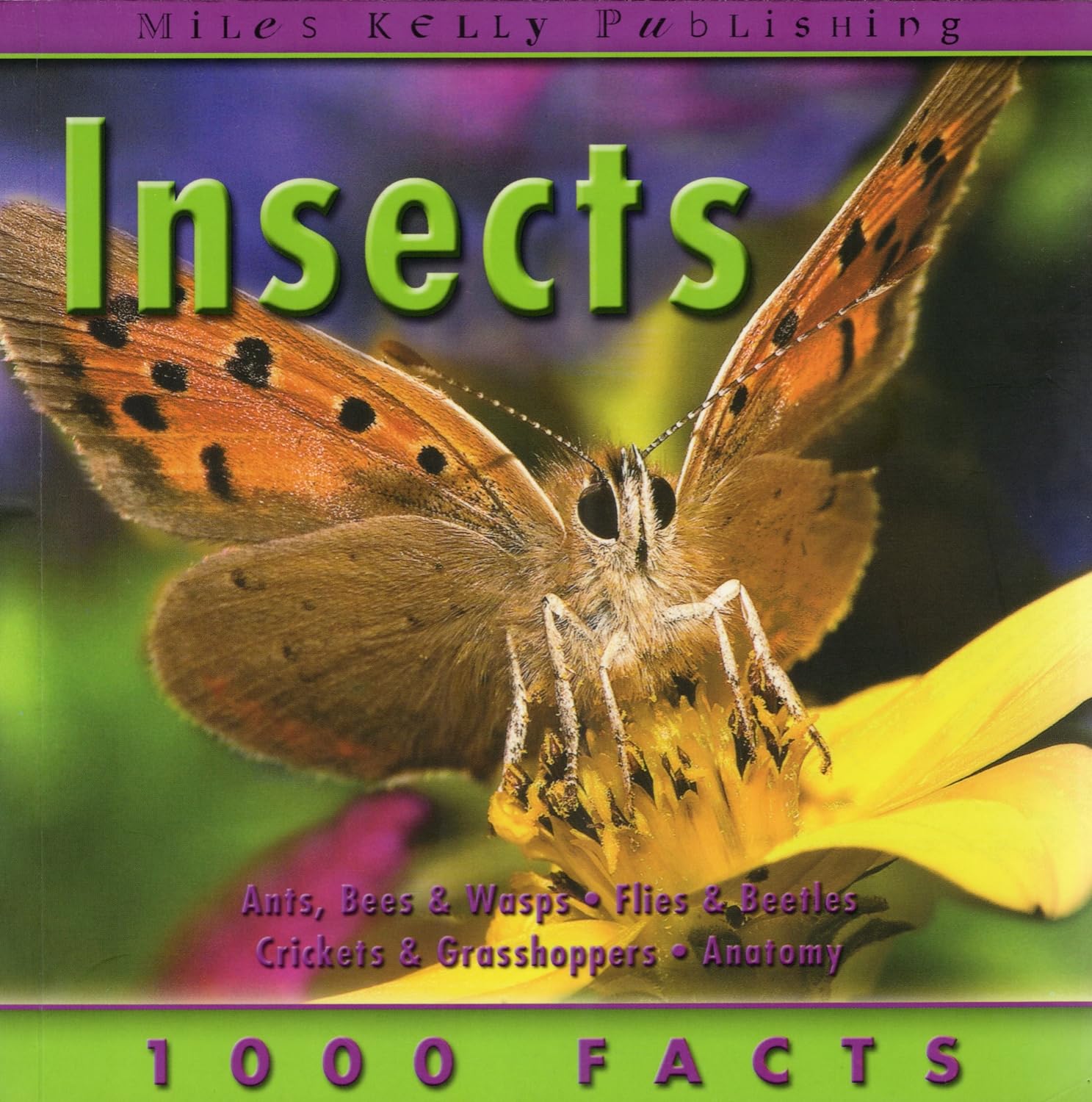 1000 Facts - Insects (1000 Facts on...) Non-fiction