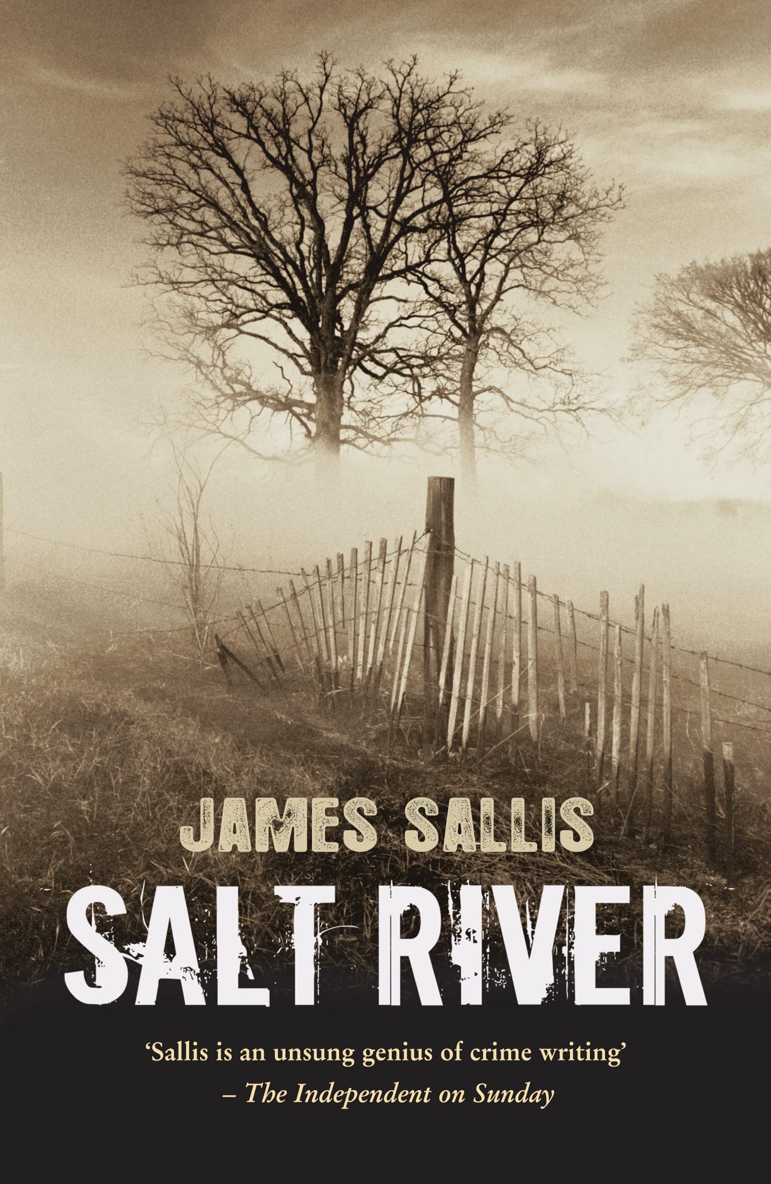 Salt River: A Novel Contemporary literature Books