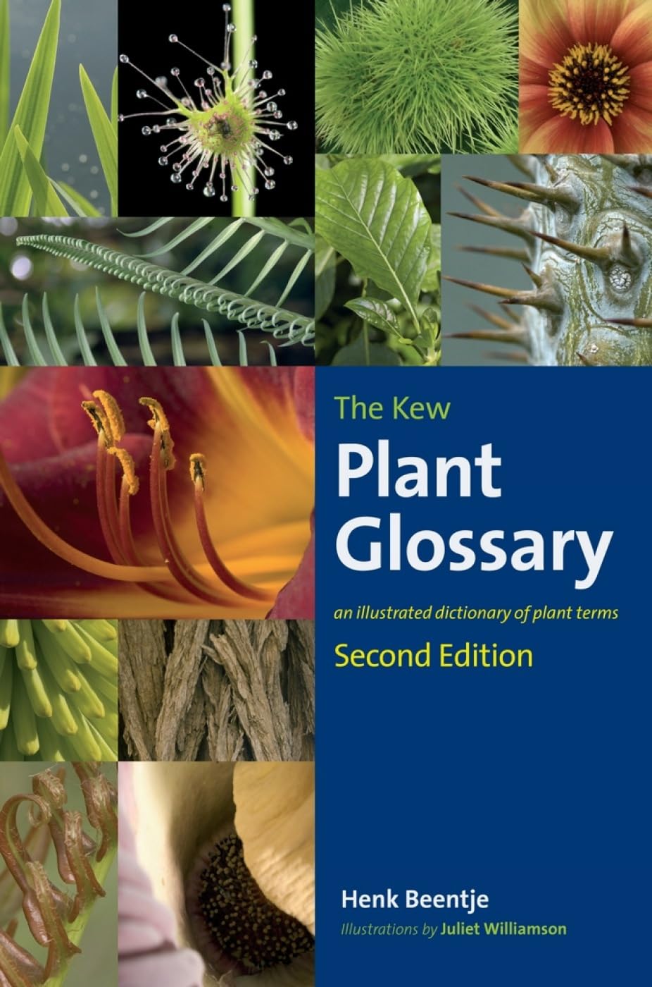 The Kew Plant Glossary: An Illustrated Dictionary of Plant Terms: An Illustrated Dictionary of Plant Terms - Second Edition Mathematics