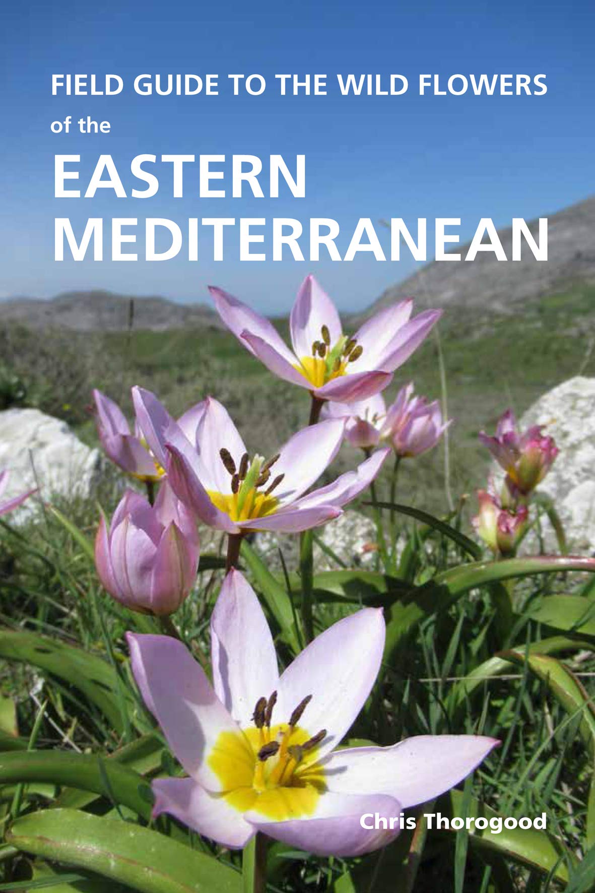 Field Guide to the Wild Flowers of the Eastern Mediterranean Mathematics
