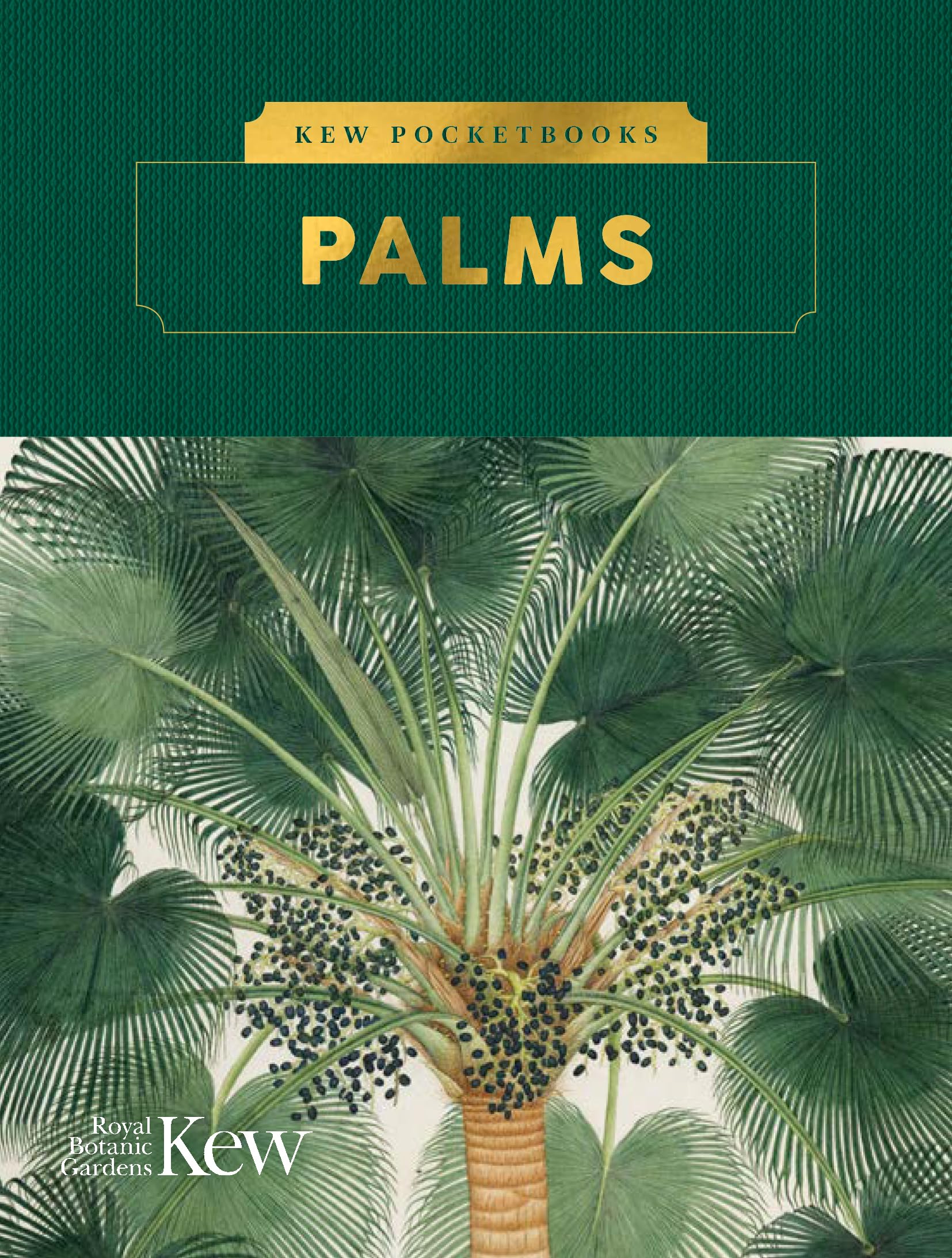 Kew Pocketbooks: Palms Mathematics