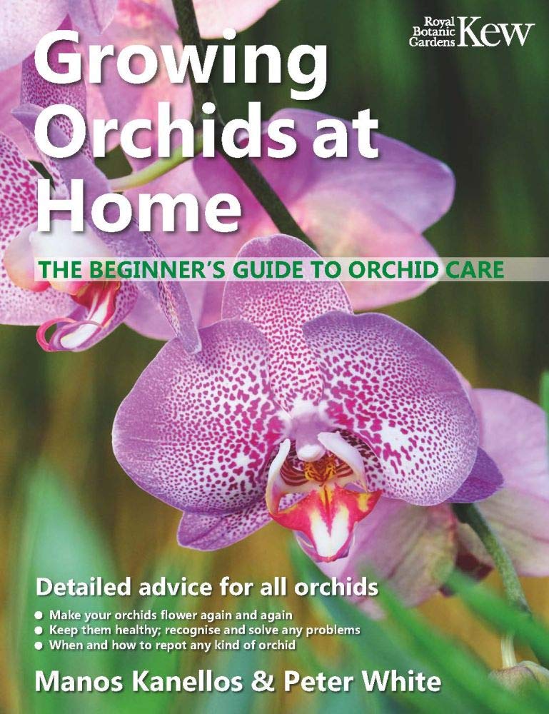 Growing Orchids at Home: The Beginner’s Guide to Orchid Care Garden & Plants