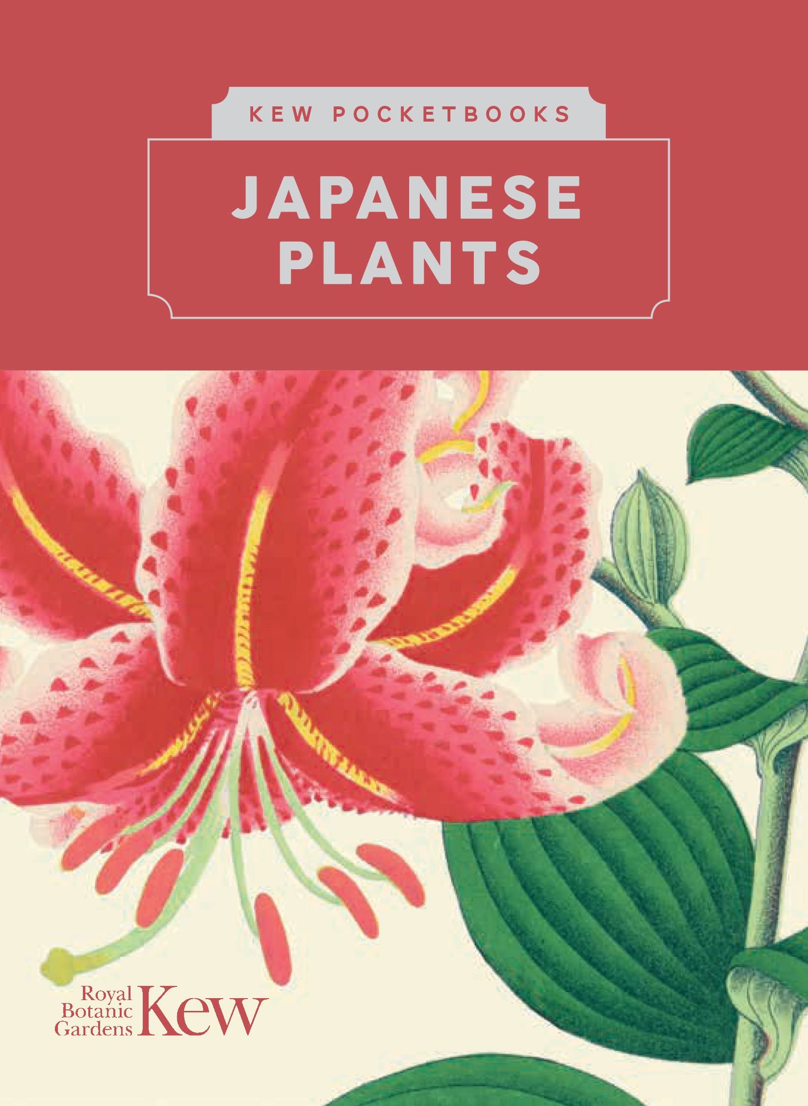 Japanese Plants (Kew Pocketbooks) Film, Art & Culture