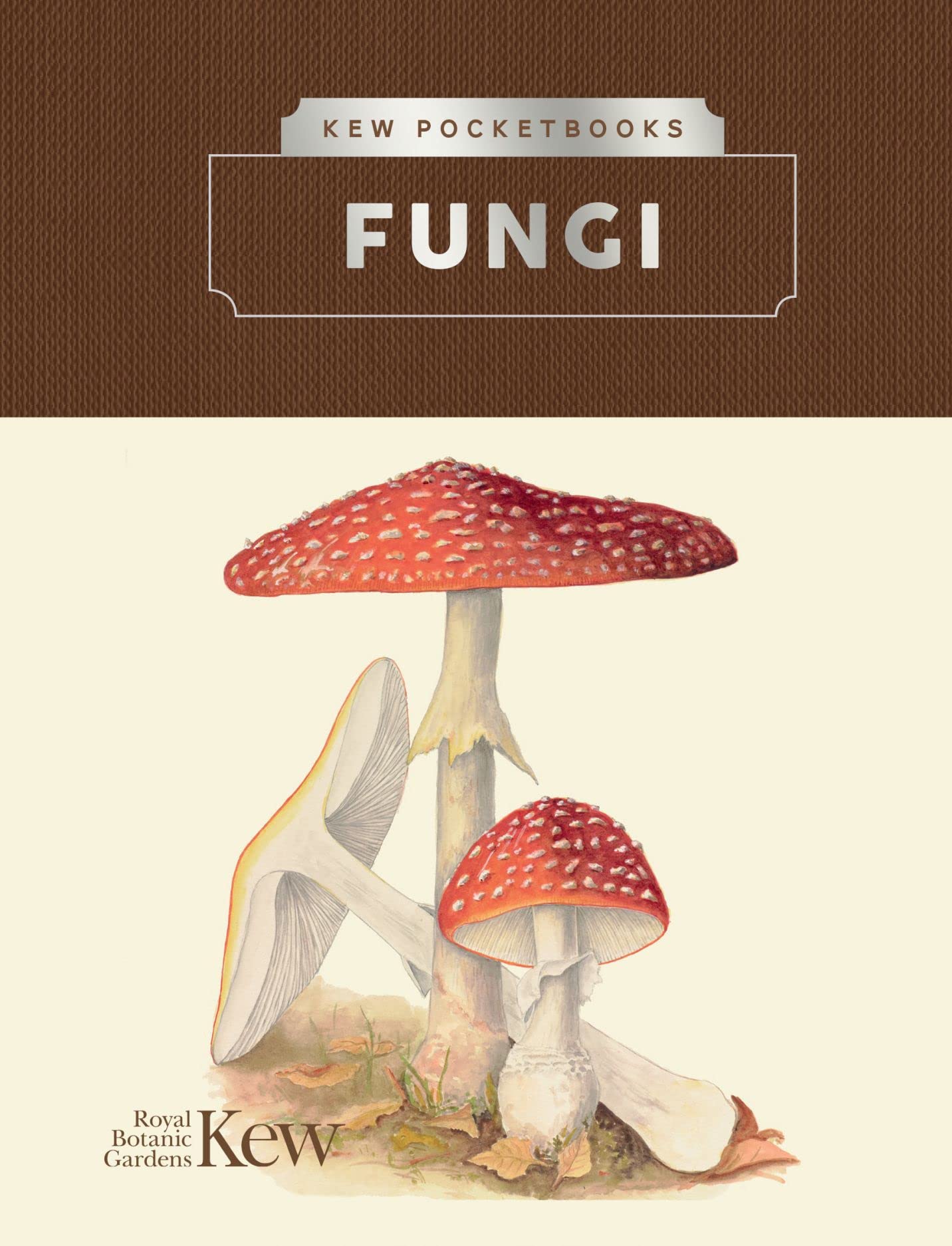 Kew Pocketbooks: Fungi Mathematics