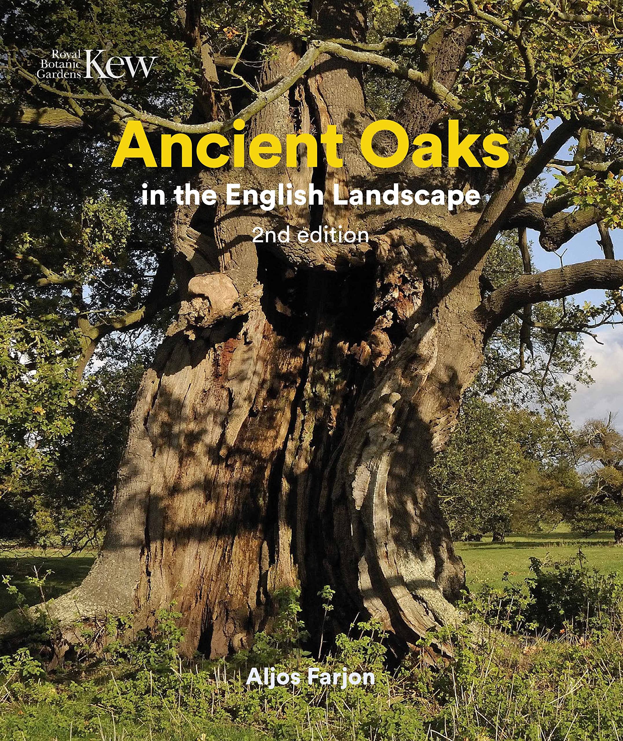 Ancient Oaks in the English Landscape Mathematics