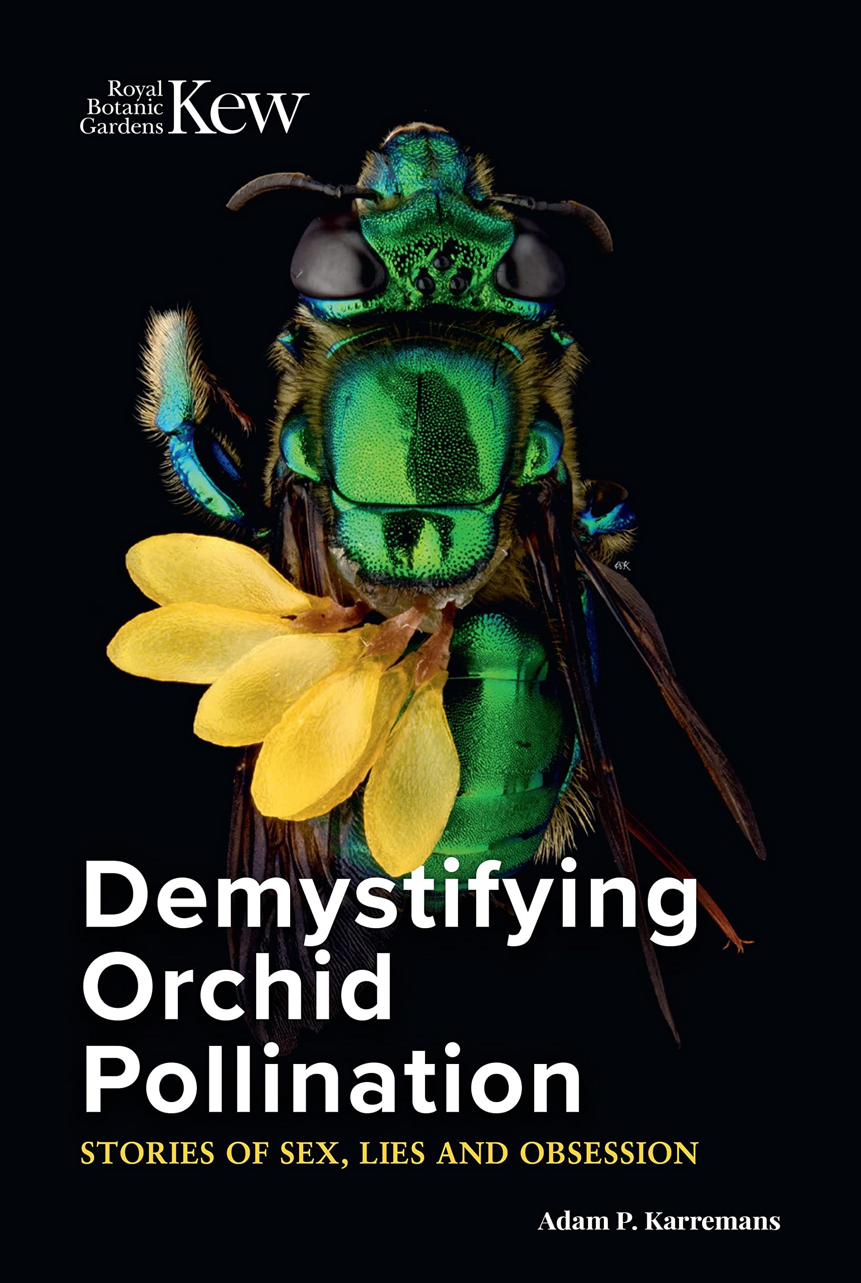 Demystifying Orchid Pollination: Stories of sex, lies and obsession Garden & Plants