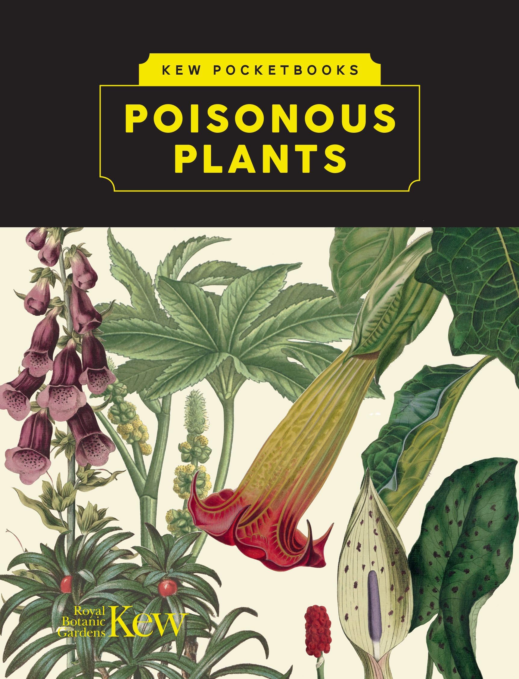Kew Pocketbooks: Poisonous Plants Mathematics