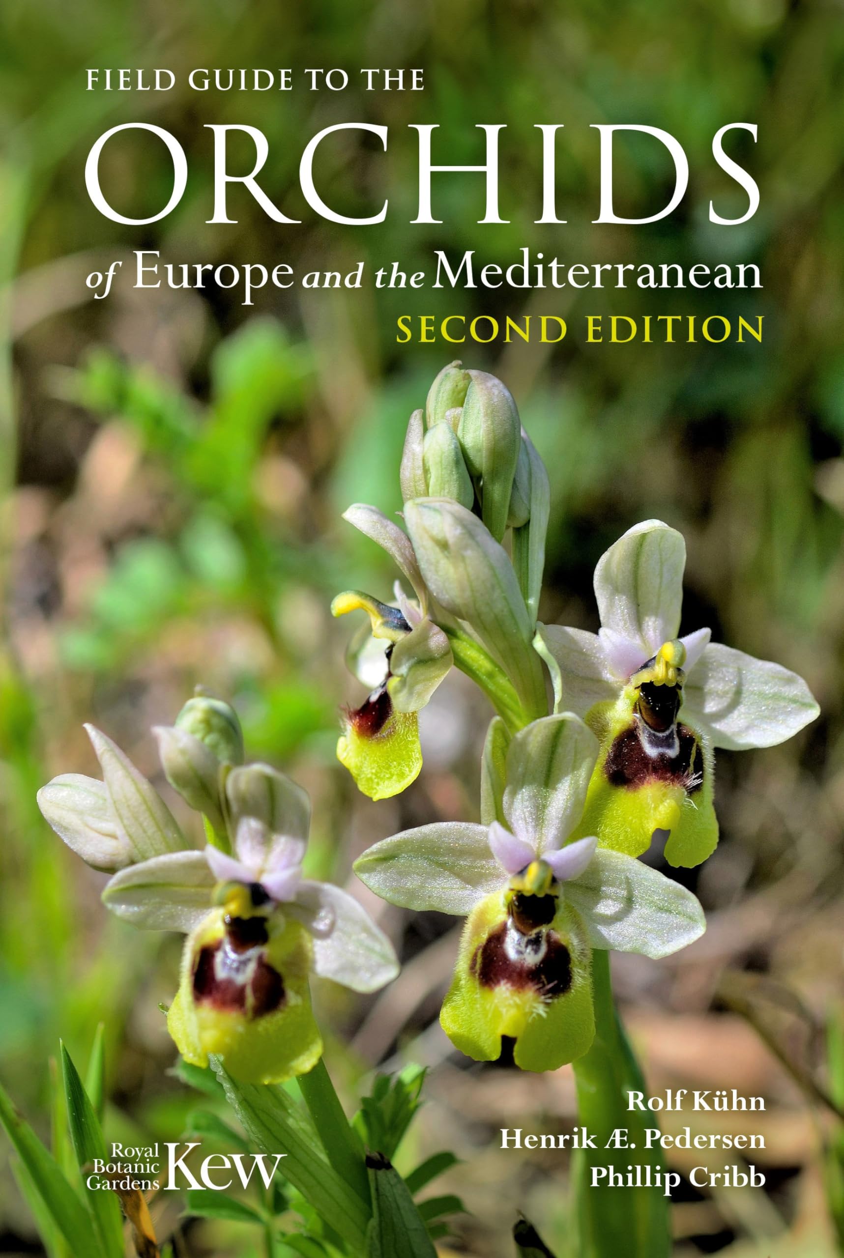 Field Guide to the Orchids of Europe and the Mediterranean book