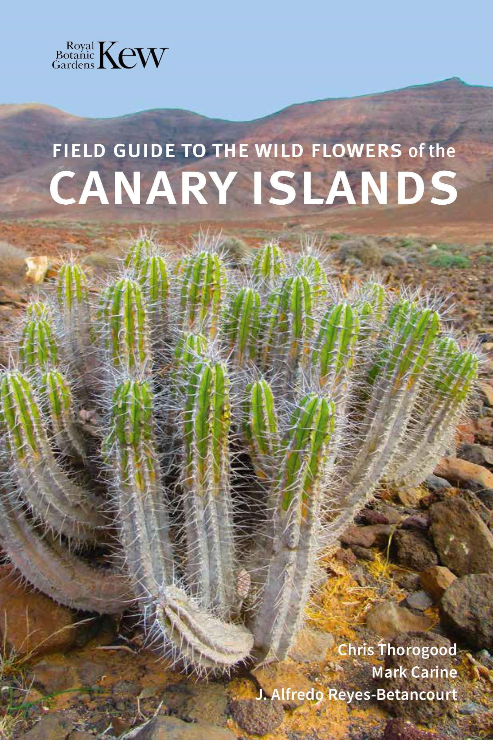 Field Guide to the Wild Flowers of the Canary Islands Mathematics