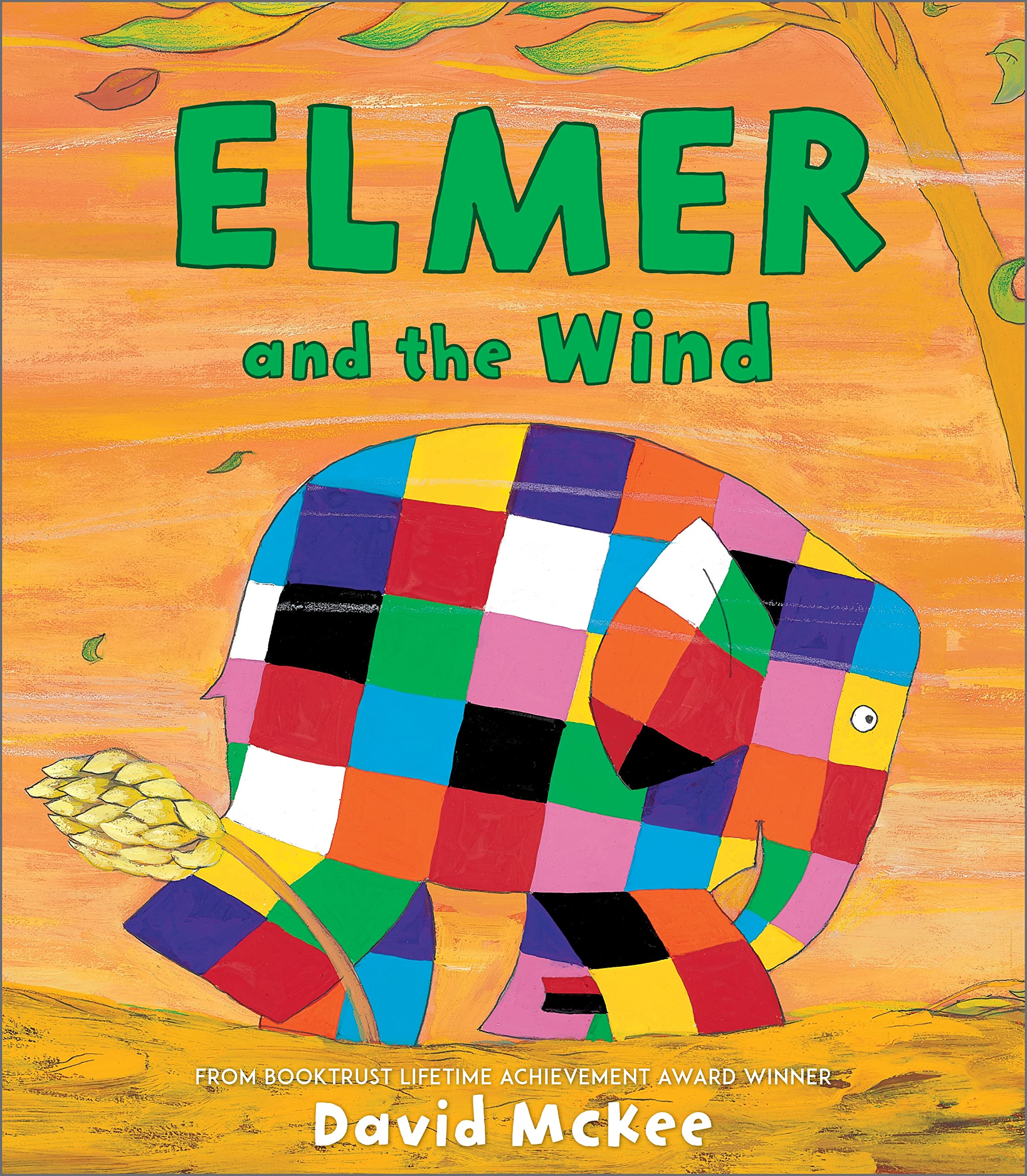 Elmer and the Wind Novels & Short Stories for children