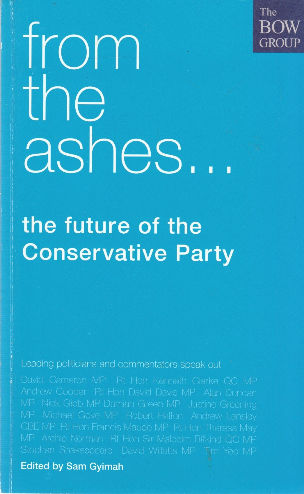 From the Ashes...: The Future of the Conservative Party book