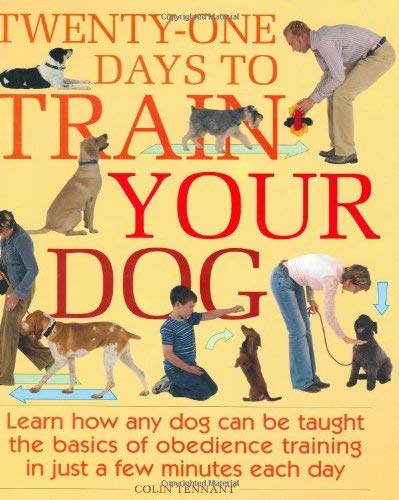 Twenty-One Days To Train Your Dog Pets