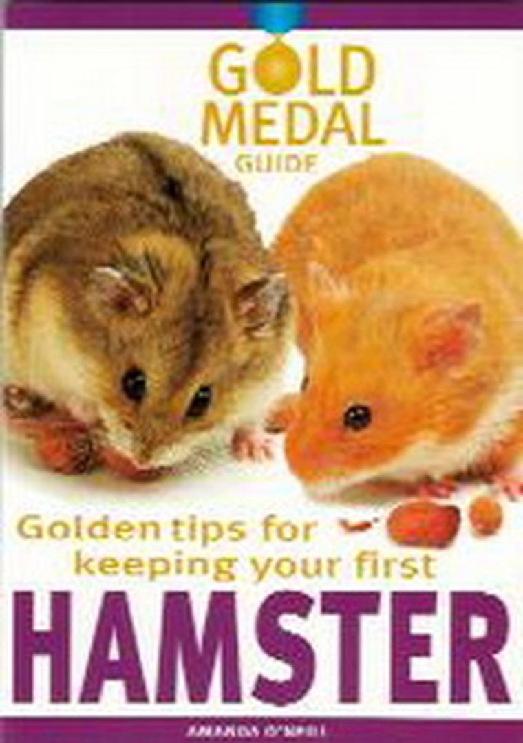 Golden Tips for Keeping Your First Hamster (Gold Medal Guide) Pets