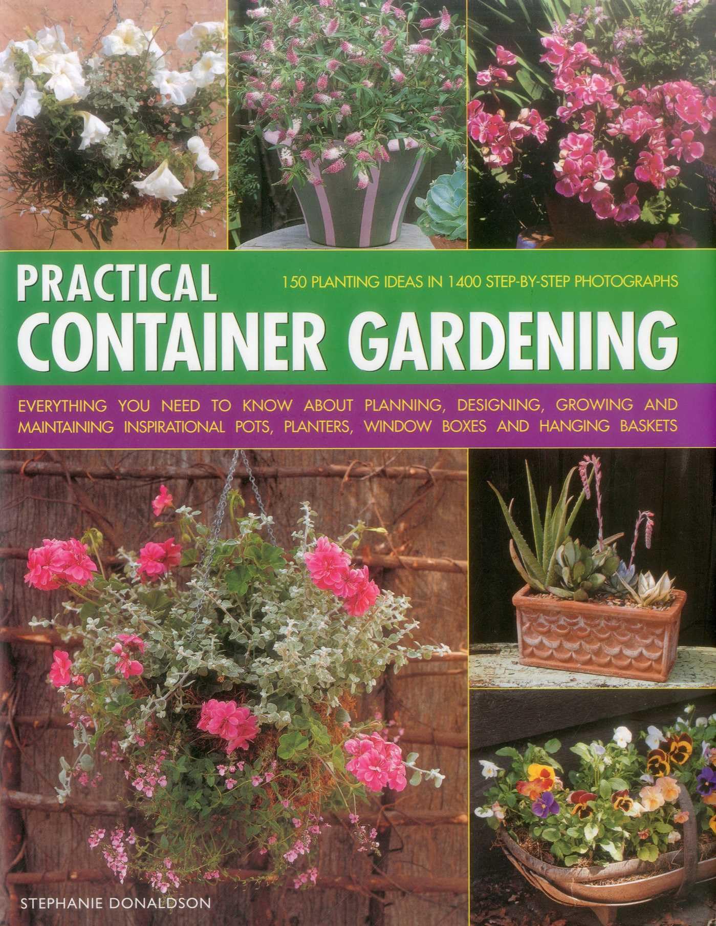 Practical Container Gardening: Everything You Need to Know About Planning, Designing, Growing and Maintaining Inspirational Pots, Planters, Window Boxes and Hanging Baskets book