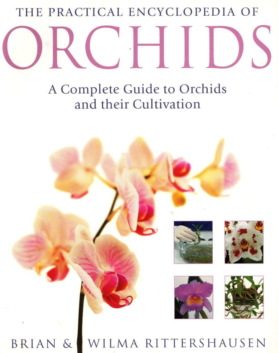 Rittshausen, B: The Practical Encyclopedia of Orchids Leisure, Home & Garden