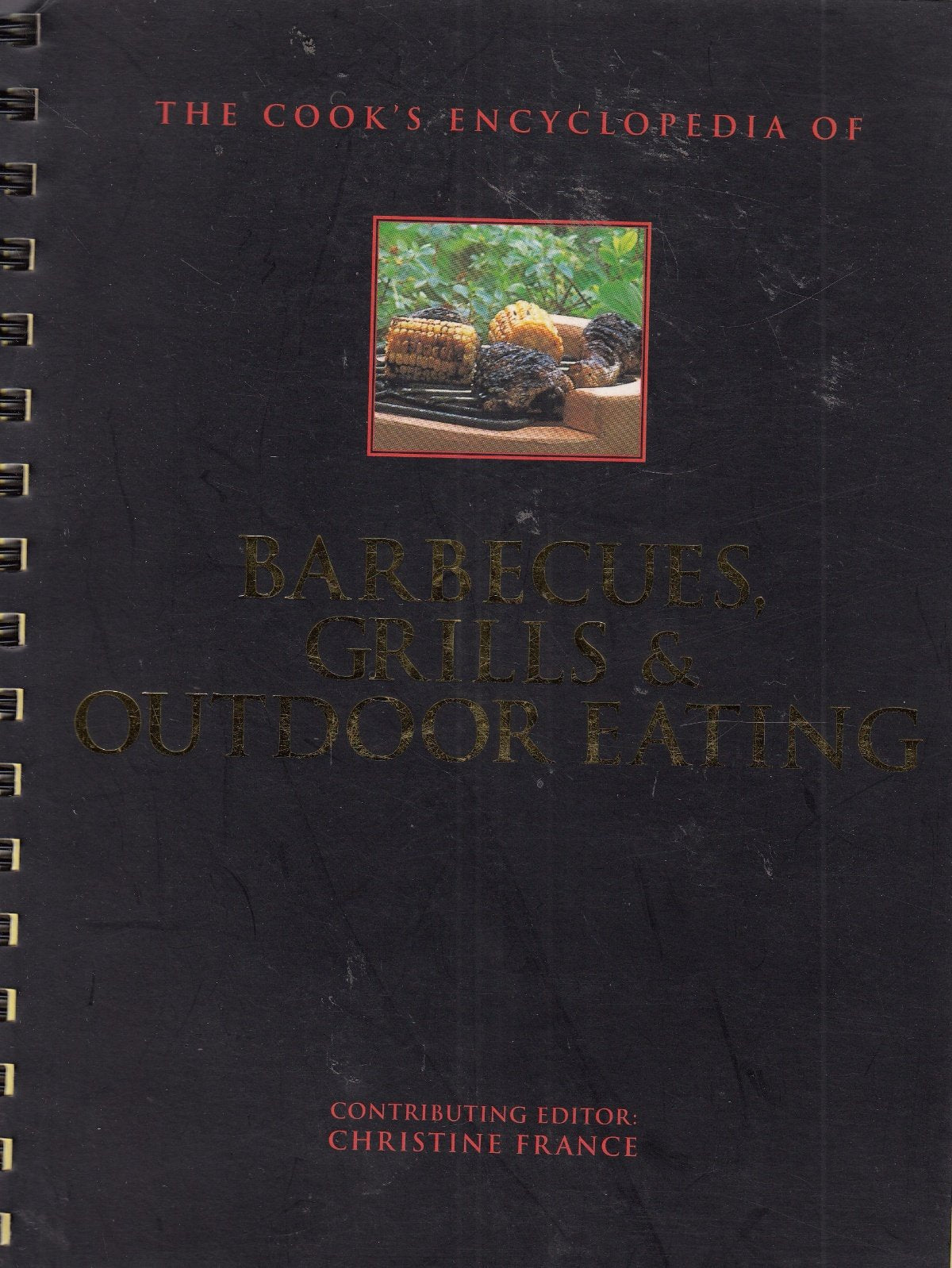 The Cook's Encyclopedia of Barbecues, Grills & Outdoor Eating book