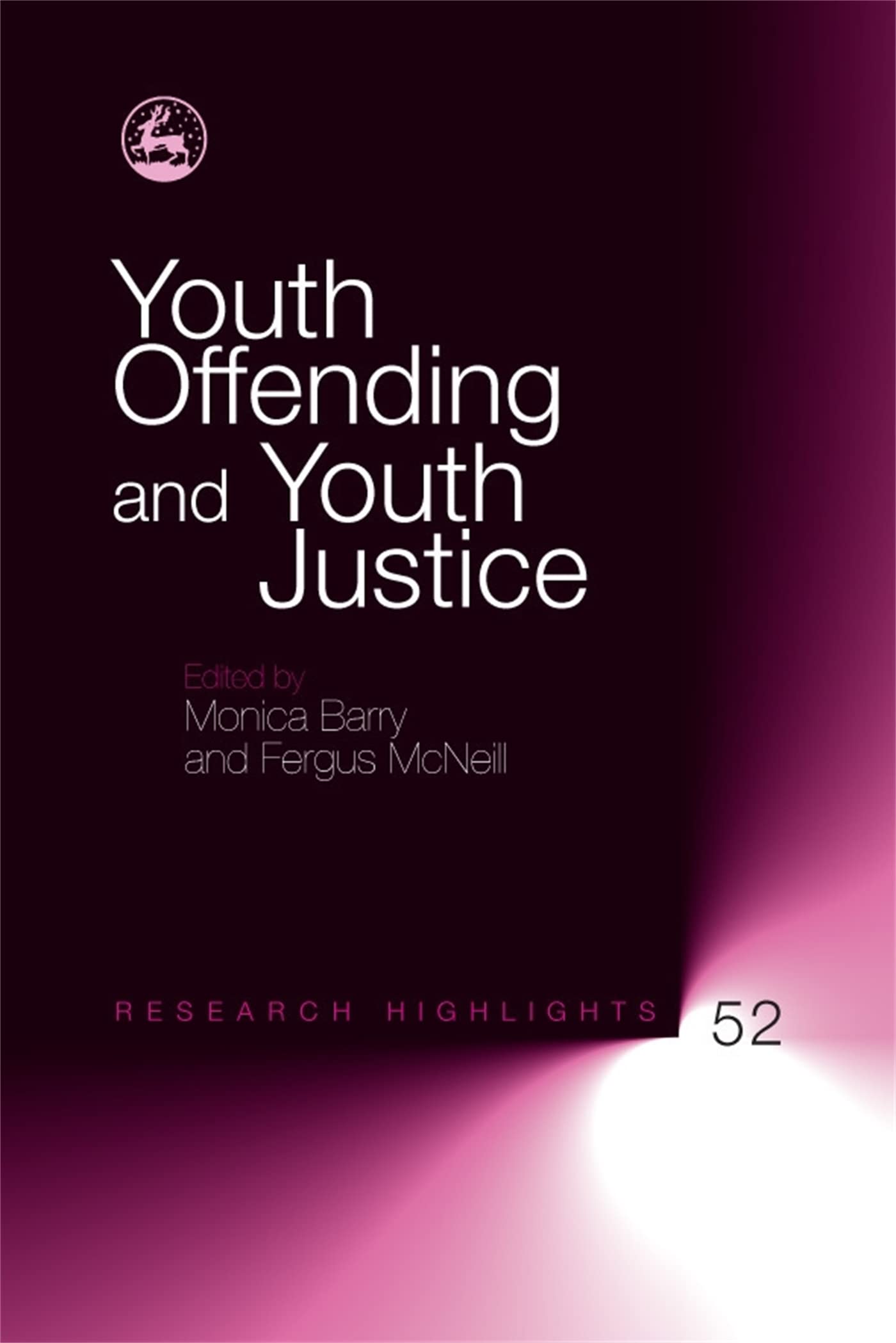 Youth Offending and Youth Justice Young adult books