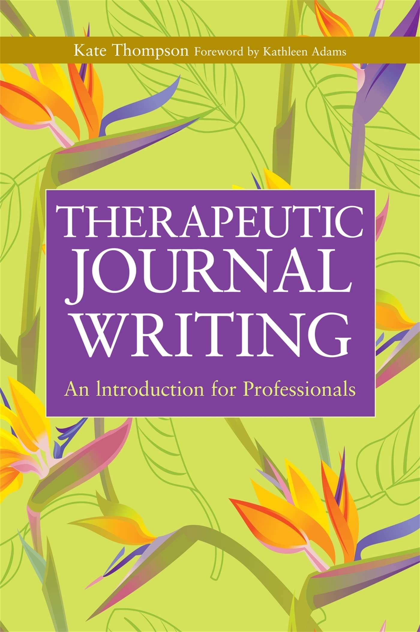 Therapeutic Journal Writing book