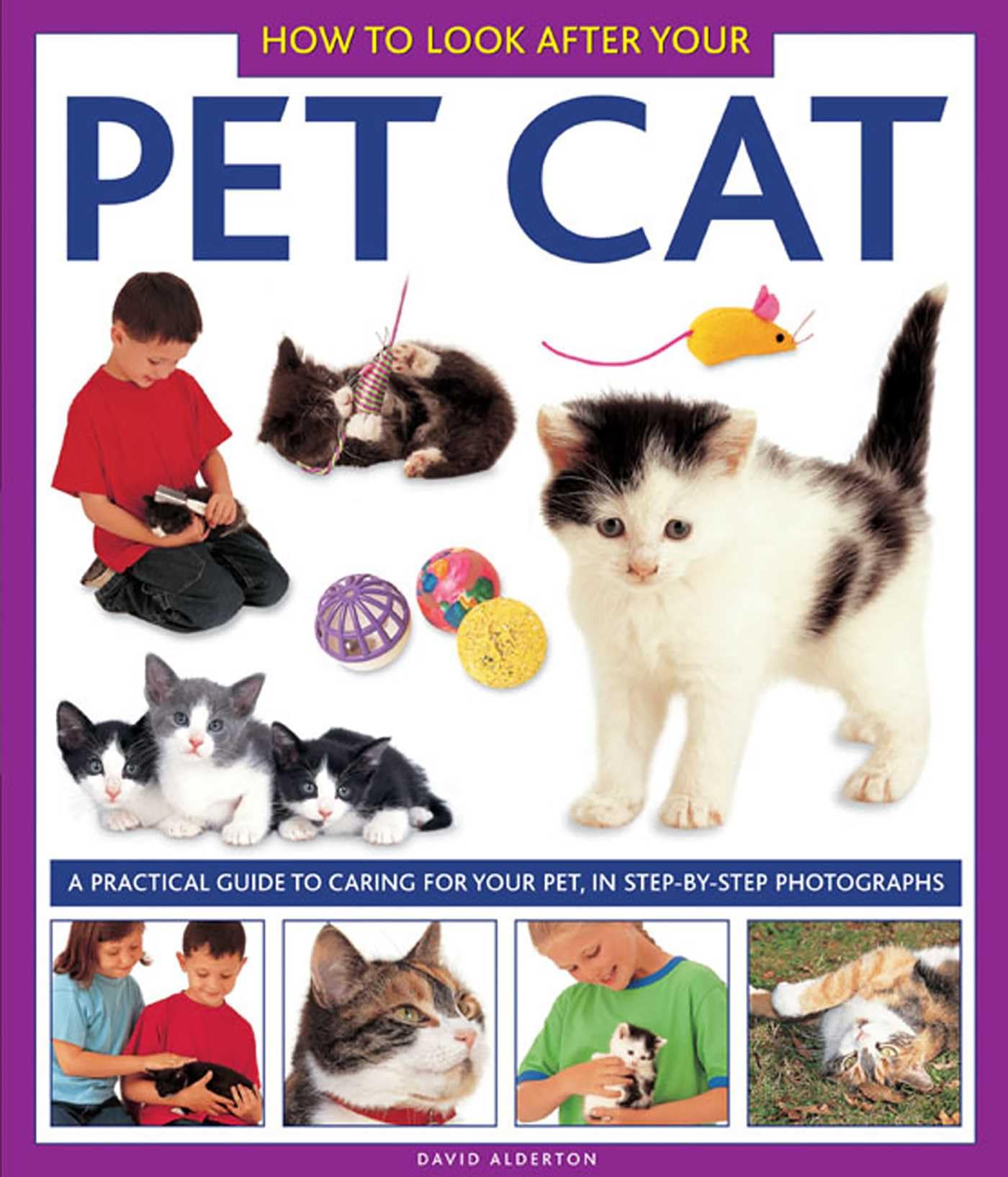 How to Look After Your Pet Cat: A Practical Guide to Caring for Your Pet, in Step-by-step Photographs Non-fiction