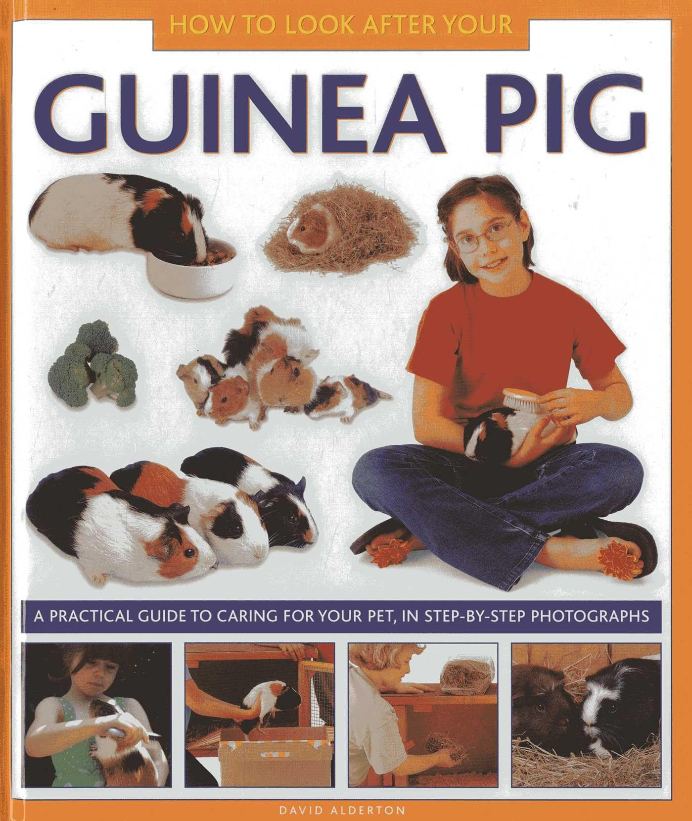 How To Look After Your Guinea Pig: A practical guide to caring for your pet, in step-by-step photographs Pets