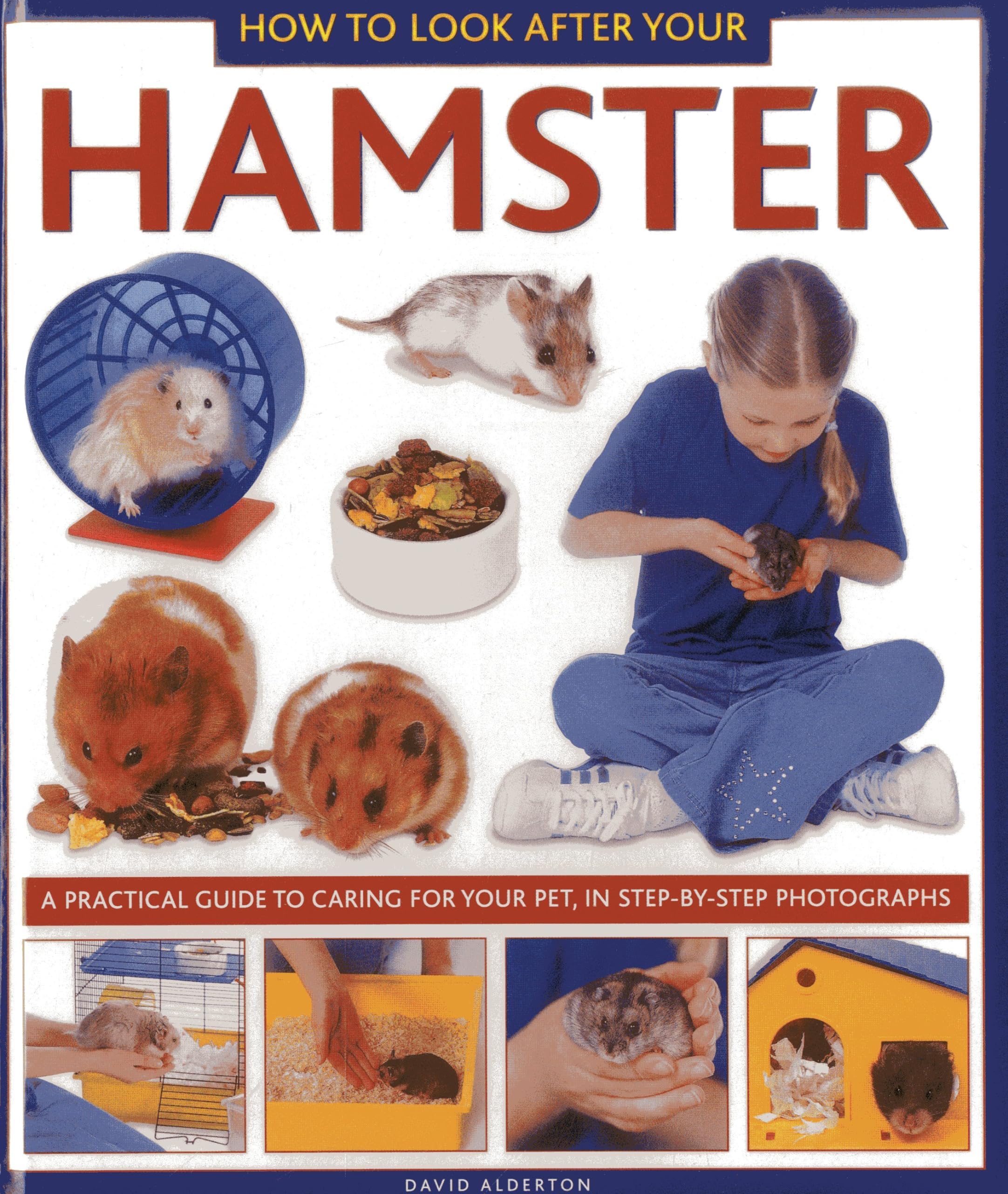 How to Look After Your Hamster Non-fiction books for kids