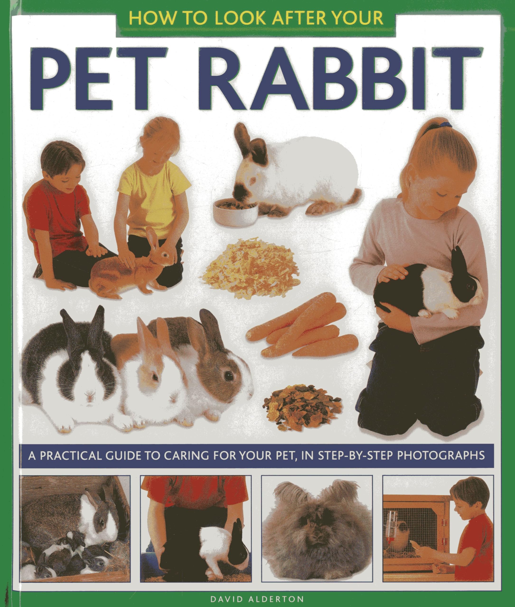 How to Look After Your Pet Rabbit: A Practical Guide to Caring for Your Pet, in Step-by-step Photographs Non-fiction