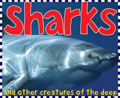 Sharks book