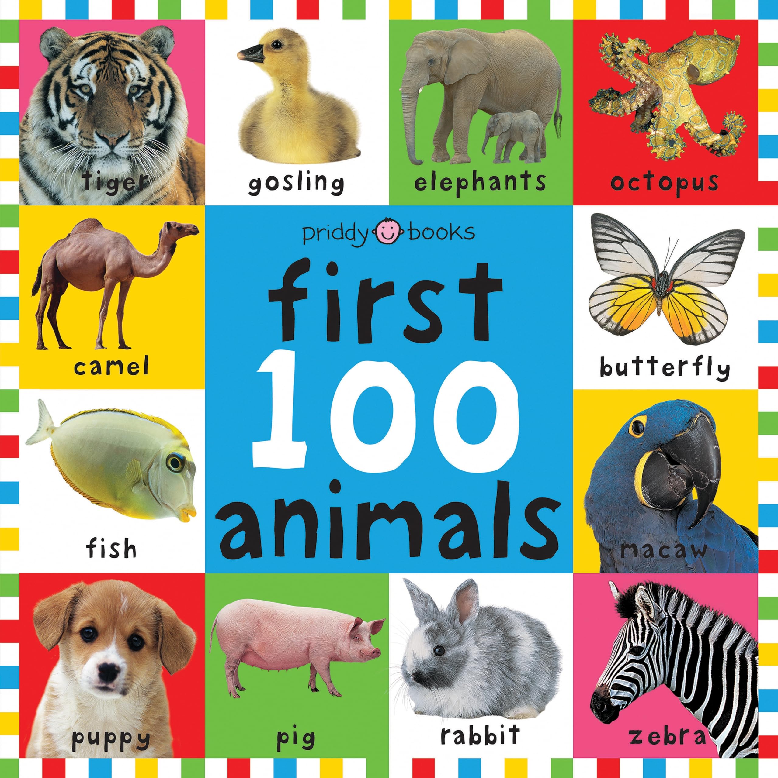 First 100 Animals: A soft-to-touch, first words book for babies and toddlers (First 100 Board Books) Parents & Children