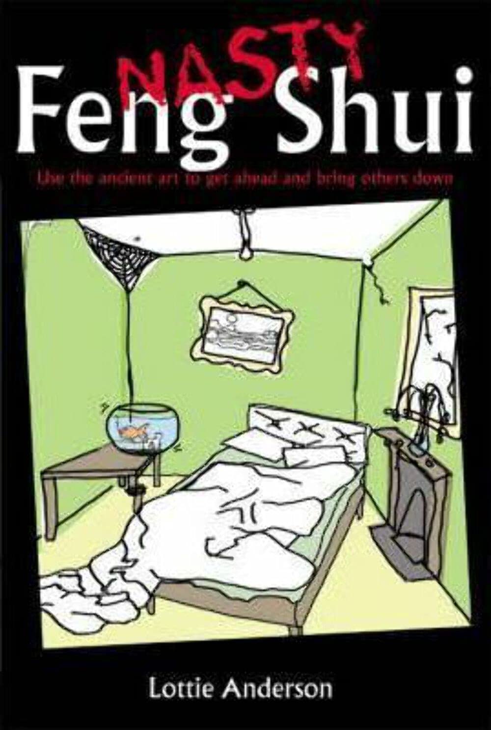 Nasty Feng Shui book
