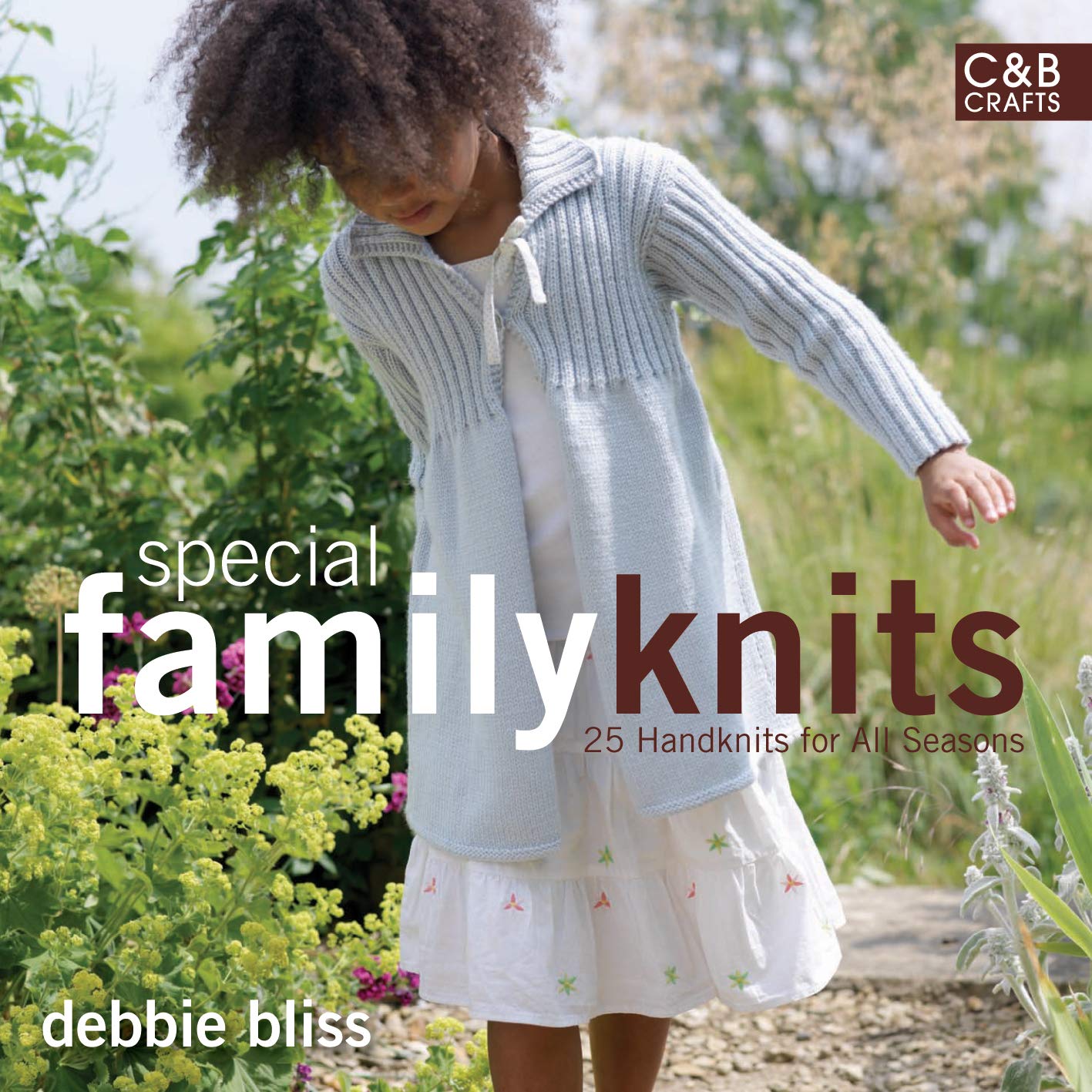 Special Family Knits: 25 Handknits for all Seasons Hobbies & Crafts