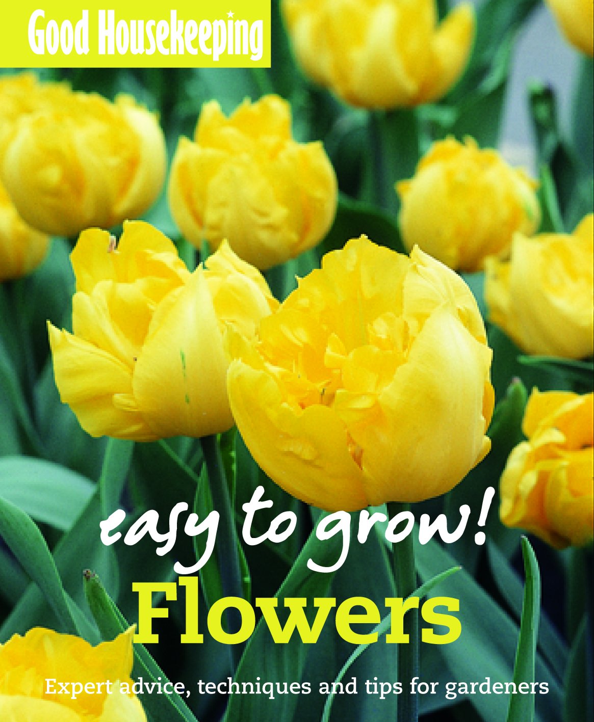 Good Housekeeping Easy to Grow! Flowers: Expert advice, techniques and tips for gardeners book