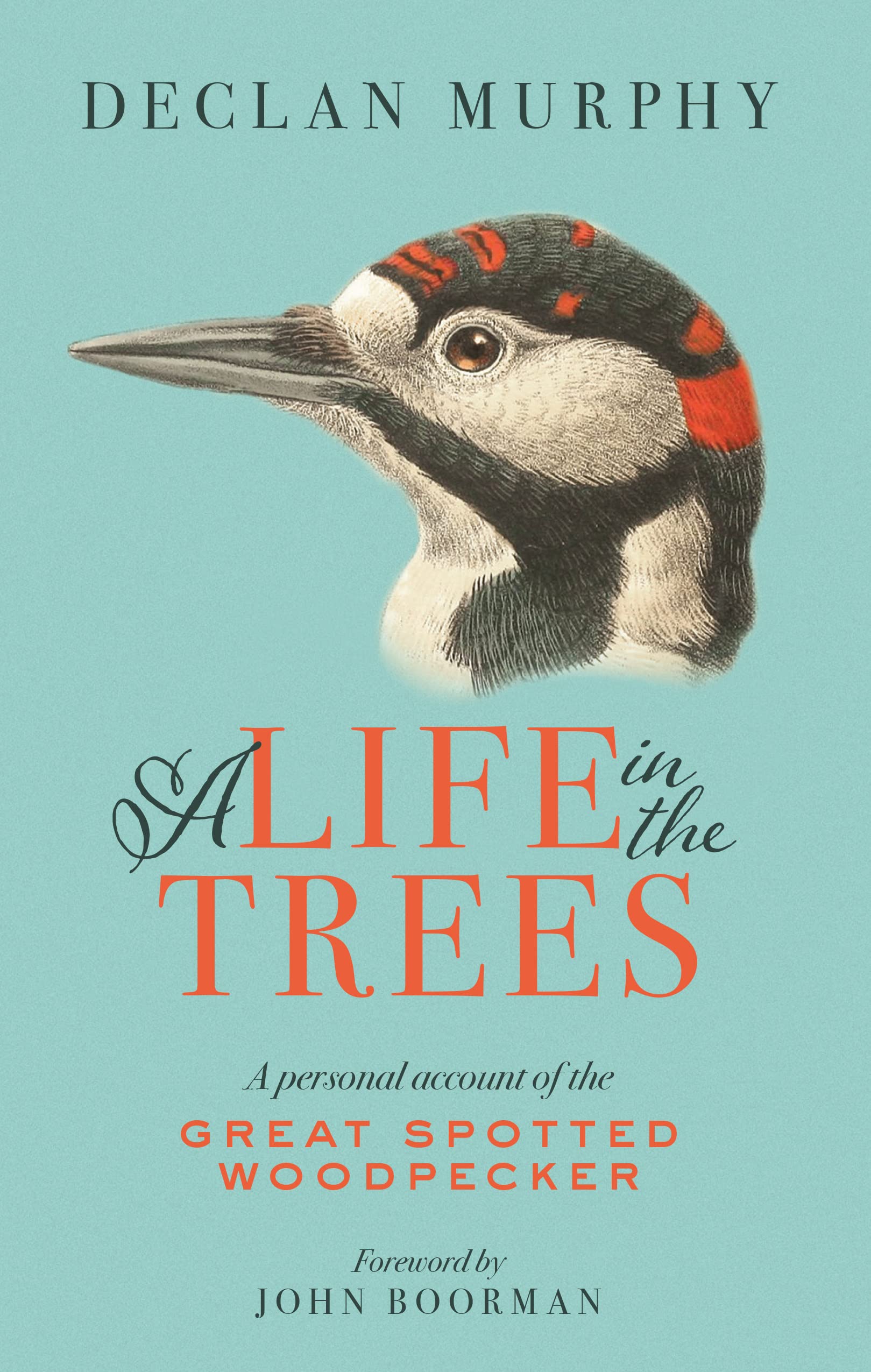 A Life in the Trees: A Personal Account of the Great Spotted Woodpecker book