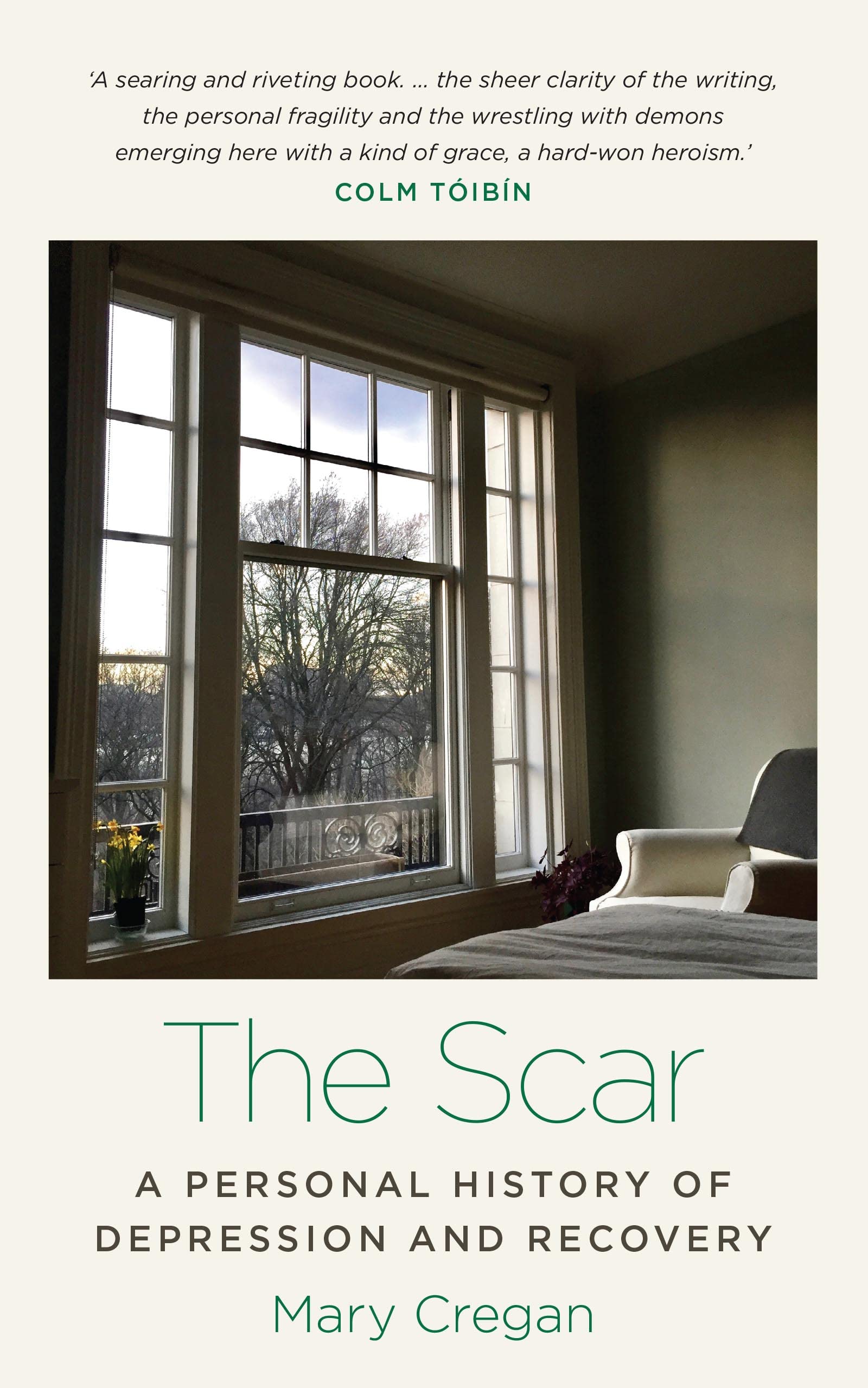 The Scar: A Personal History of Depression and Recovery book