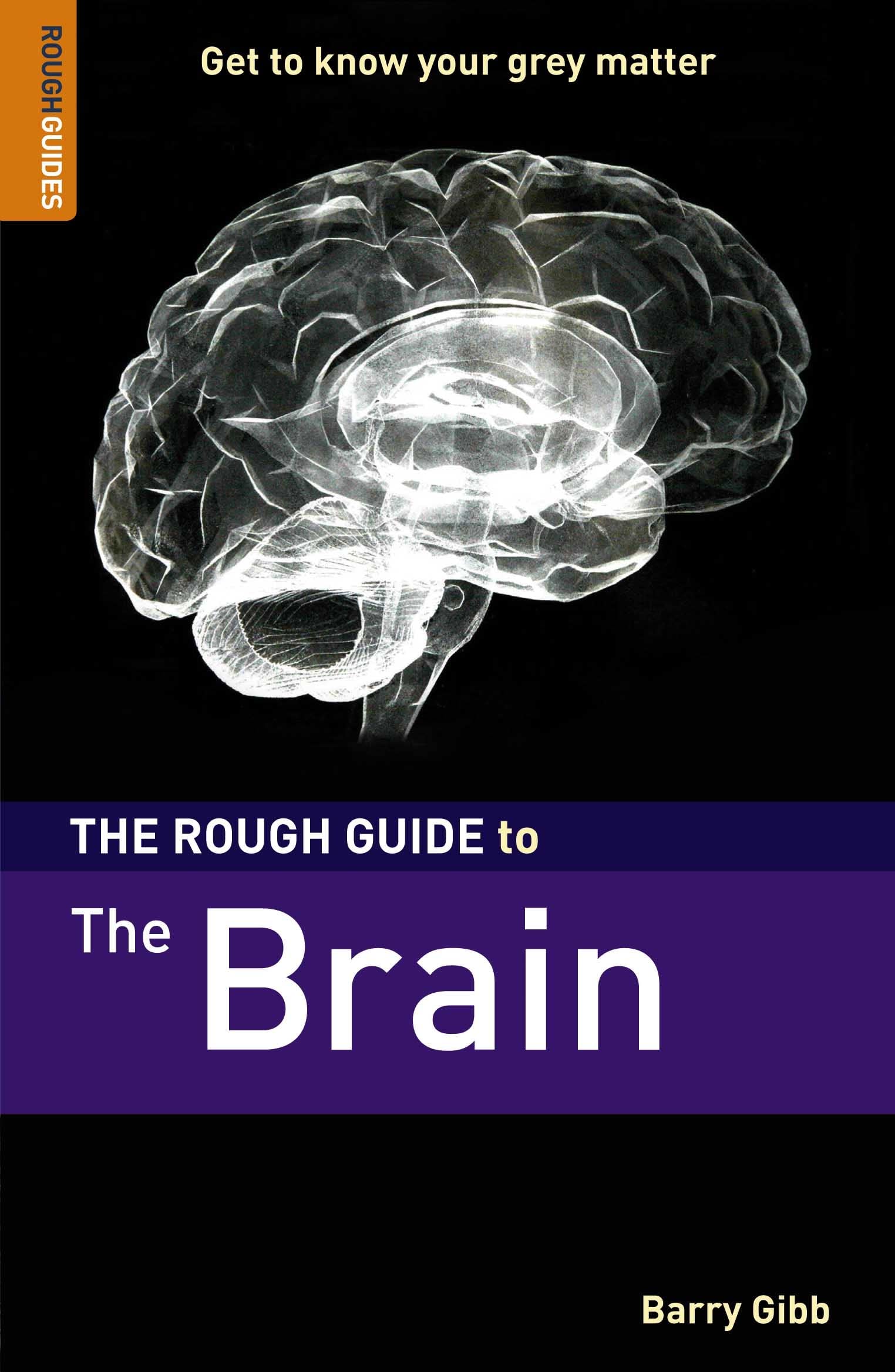 The Rough Guide to The Brain Medicine