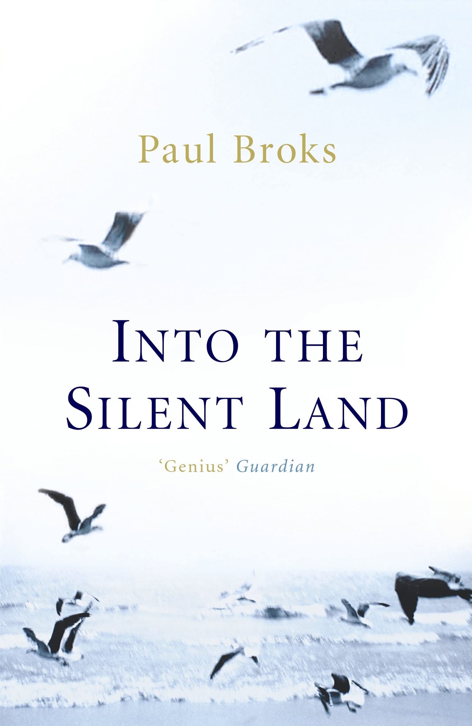 Product Image: Into The Silent Land