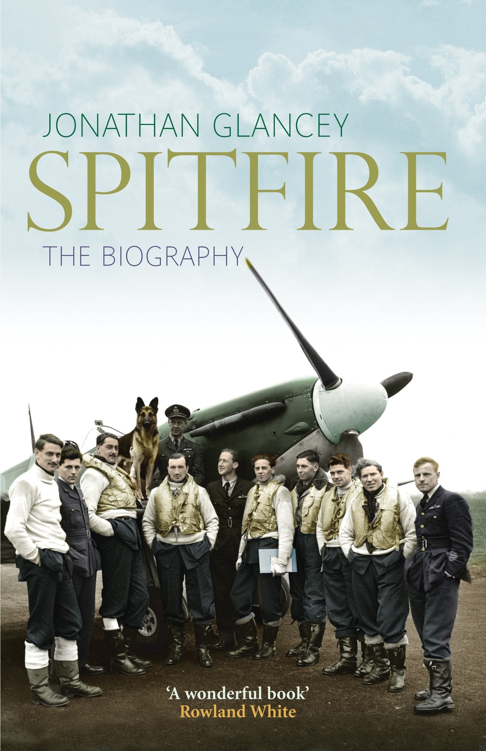 Spitfire: The Illustrated Biography: The Biography Leisure, Home & Garden