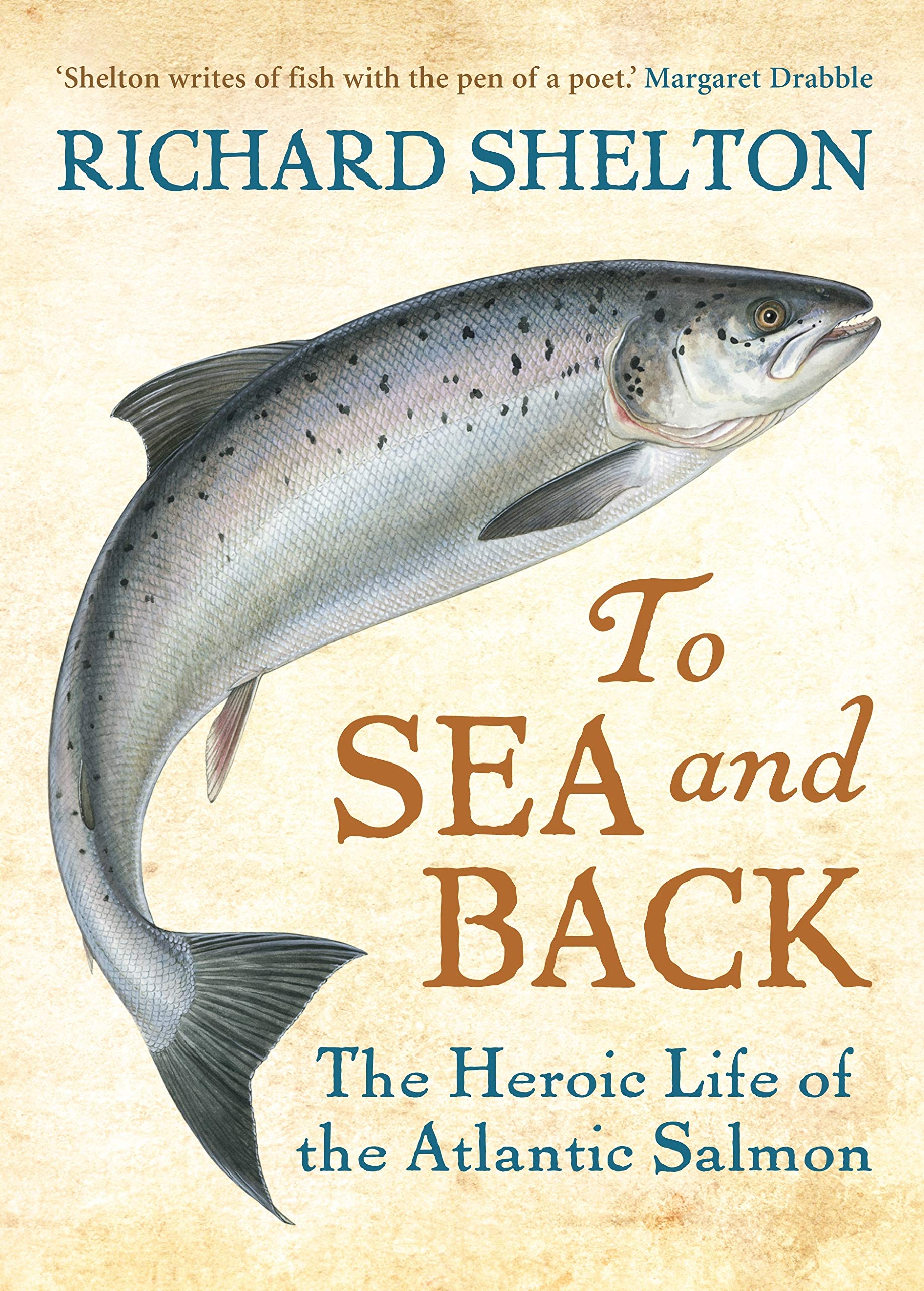 To Sea and Back: The Heroic Life of the Atlantic Salmon Sports