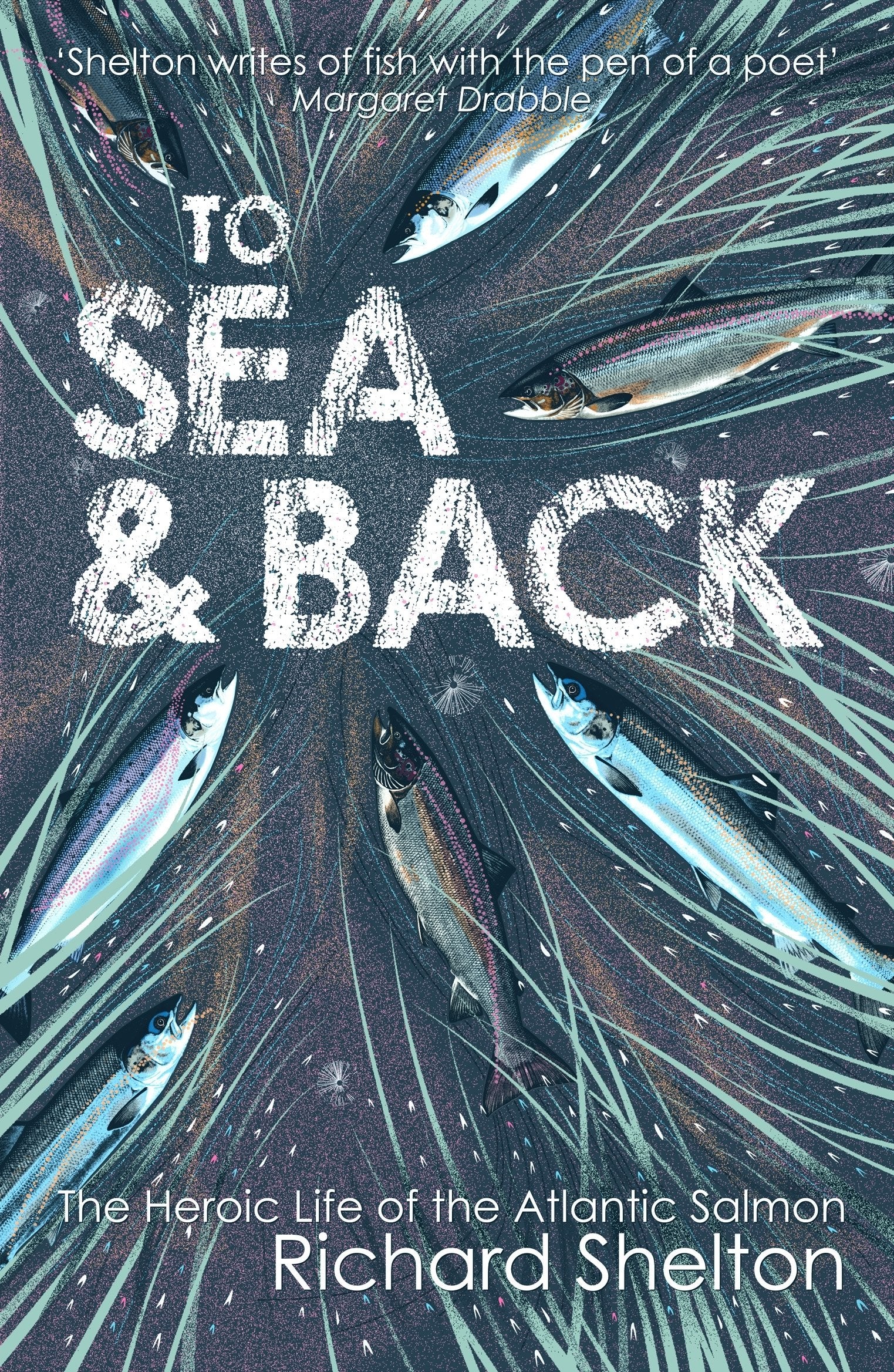 To Sea and Back: The Heroic Life of the Atlantic Salmon book
