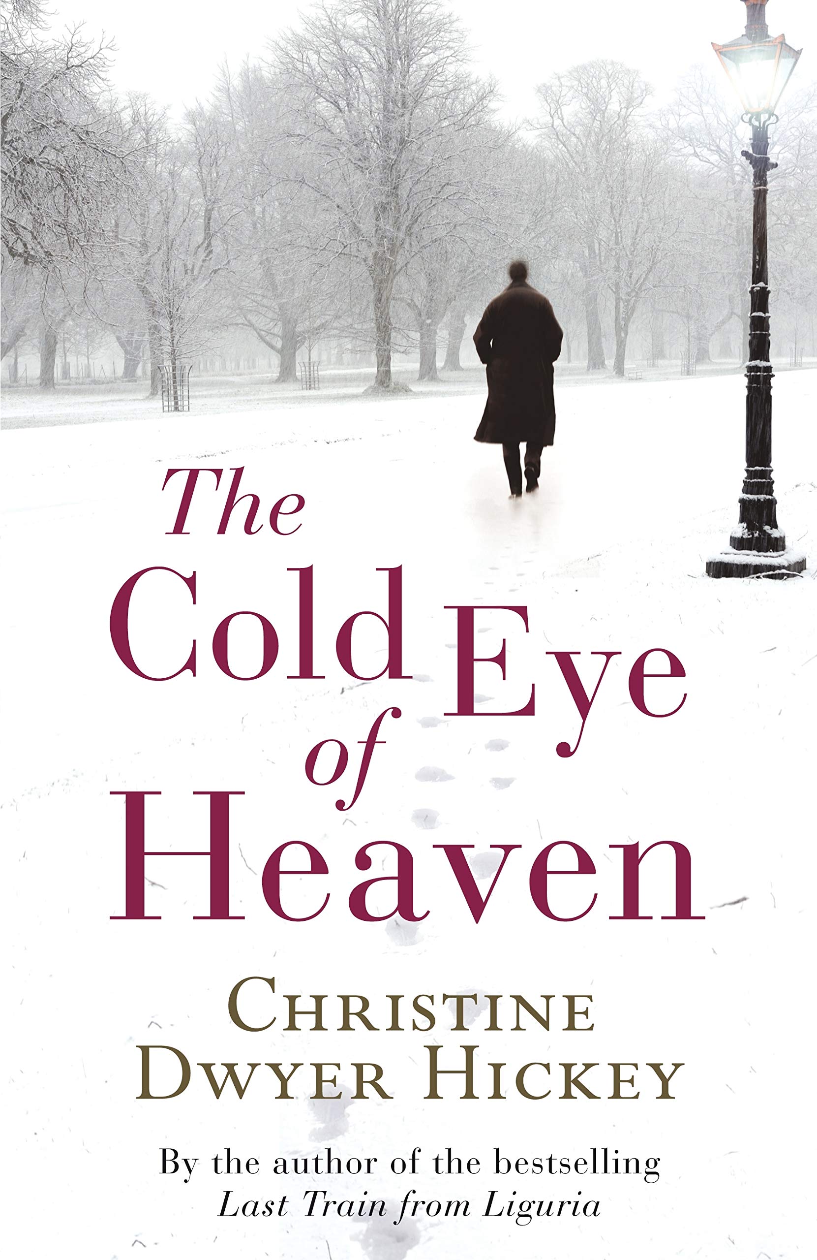 Cold Eye of Heaven Books