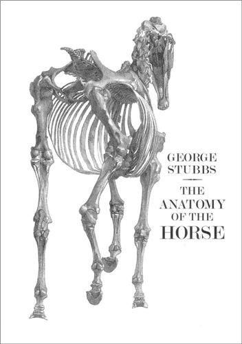 The Anatomy of the Horse, by George Stubbs (Paperback) Mathematics