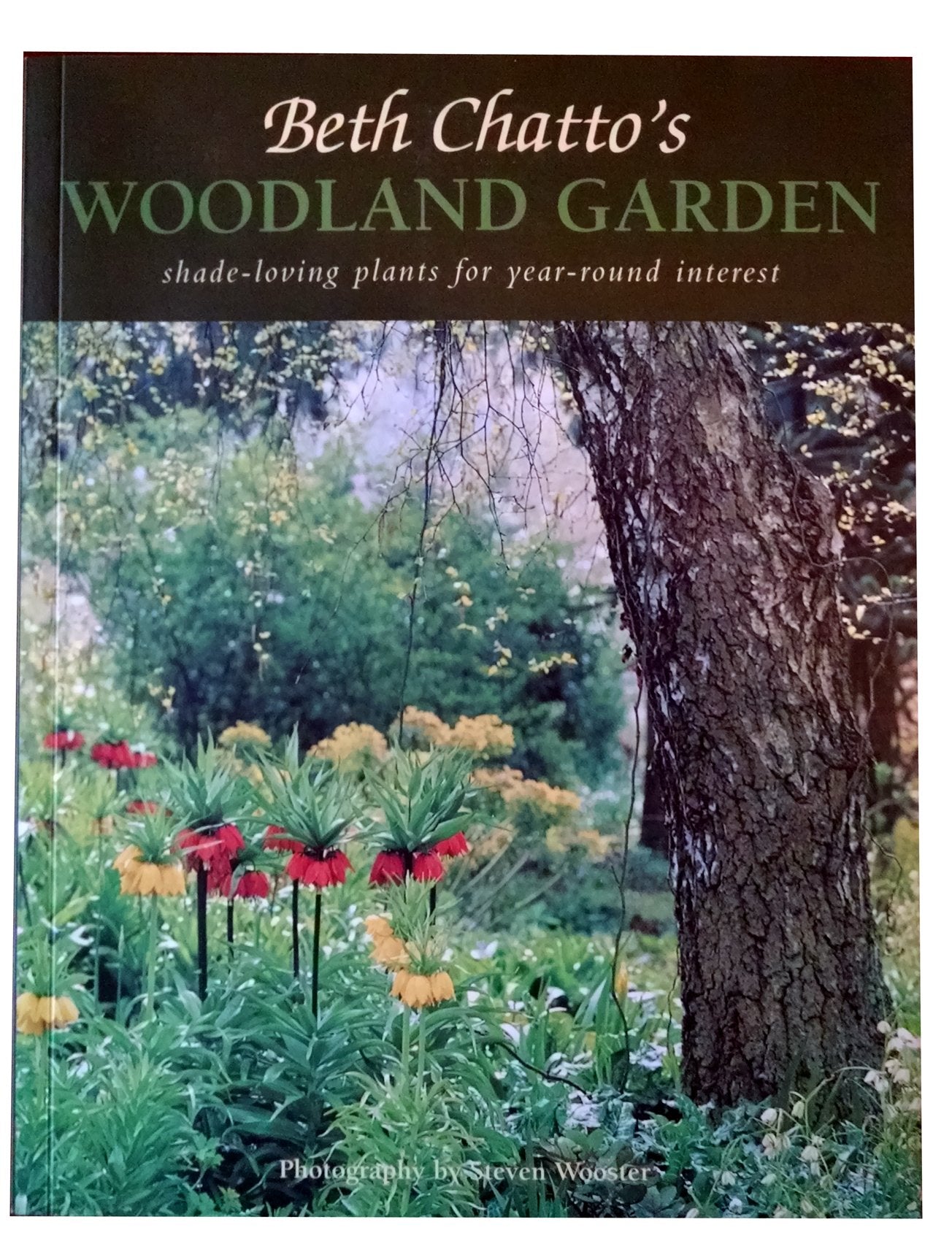 Beth Chatto's Woodland Garden: Shade-loving Plants For Year-round Interest Garden & Plants