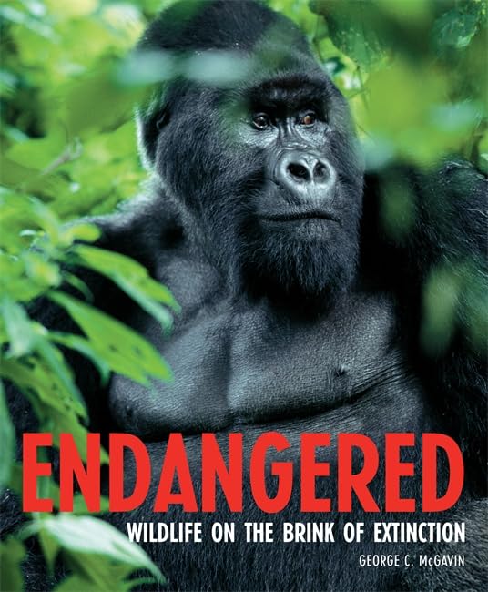 Endangered: Wildlife on the Brink of Extinction Mathematics