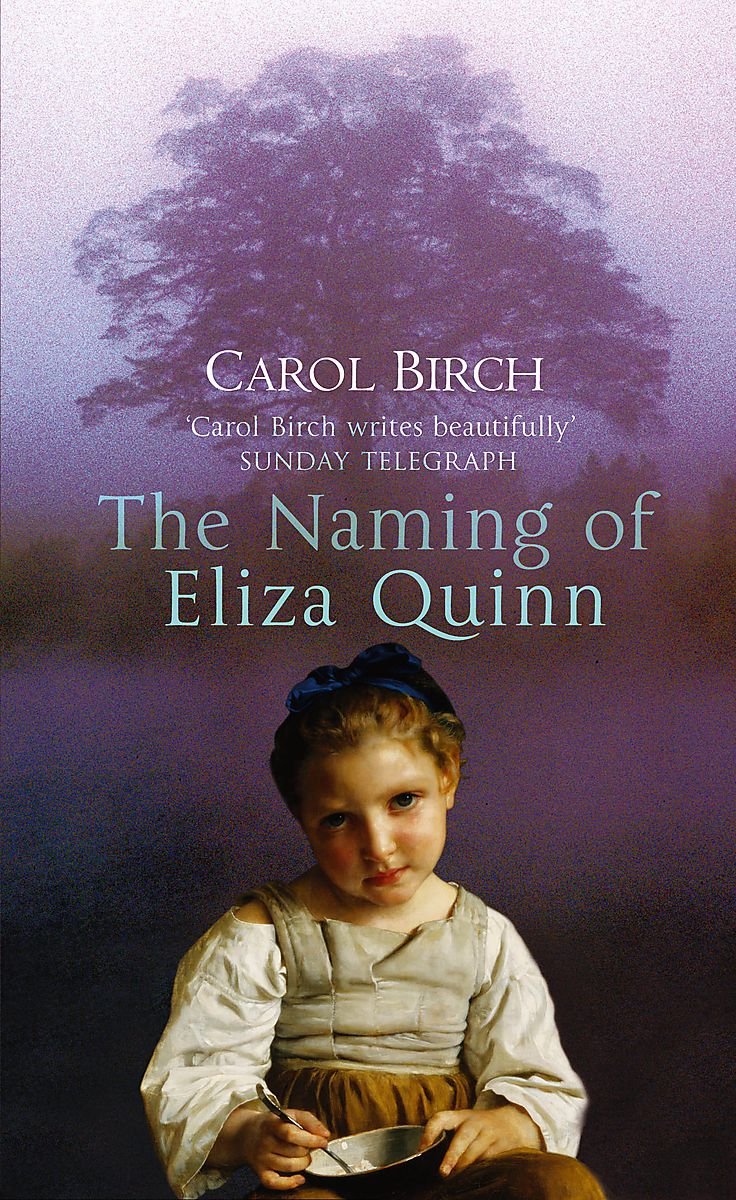 The Naming Of Eliza Quinn book
