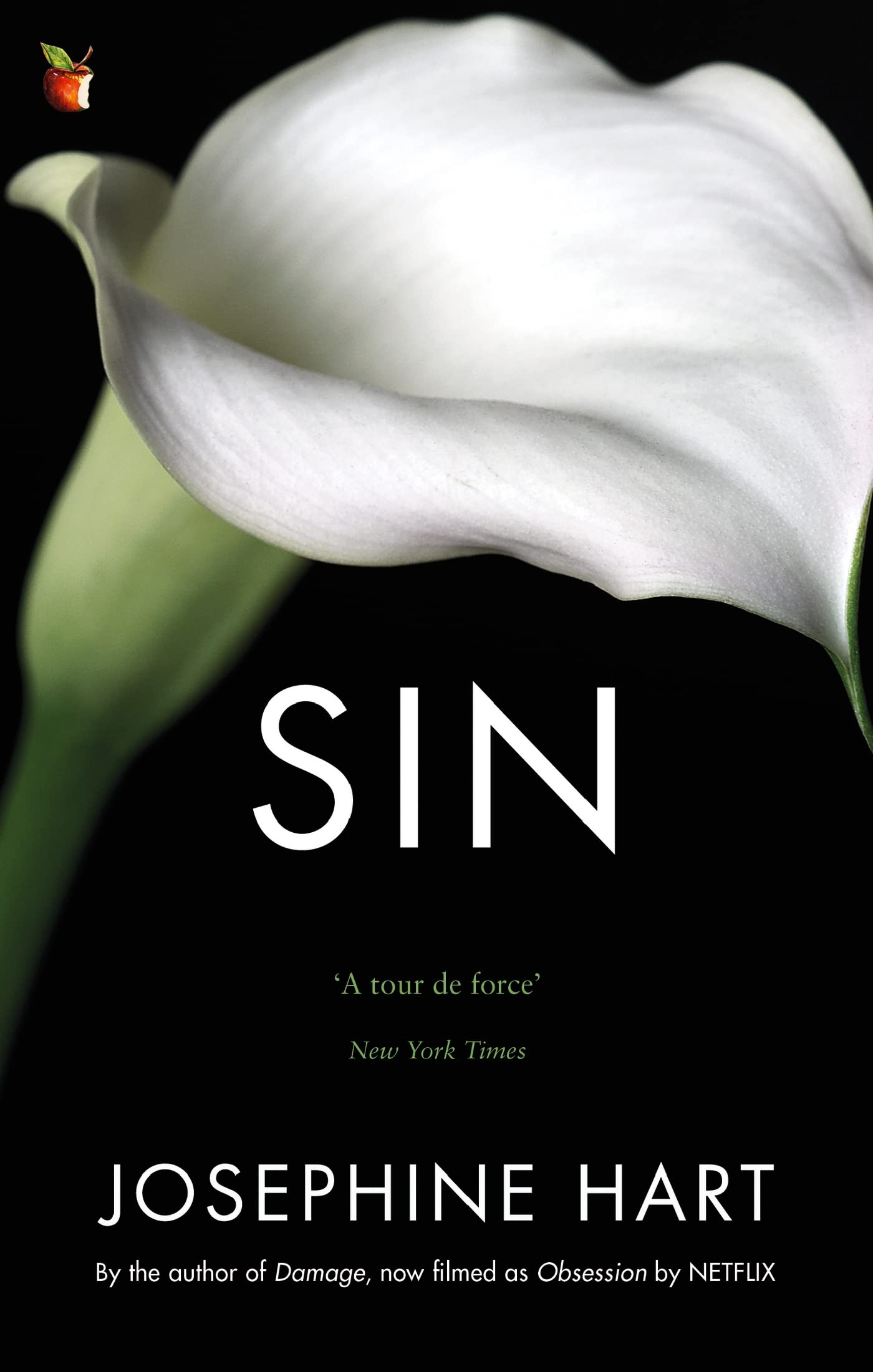 Sin: By the author of DAMAGE, inspiration for the Netflix series OBSESSION (Virago Modern Classics) Contemporary literature