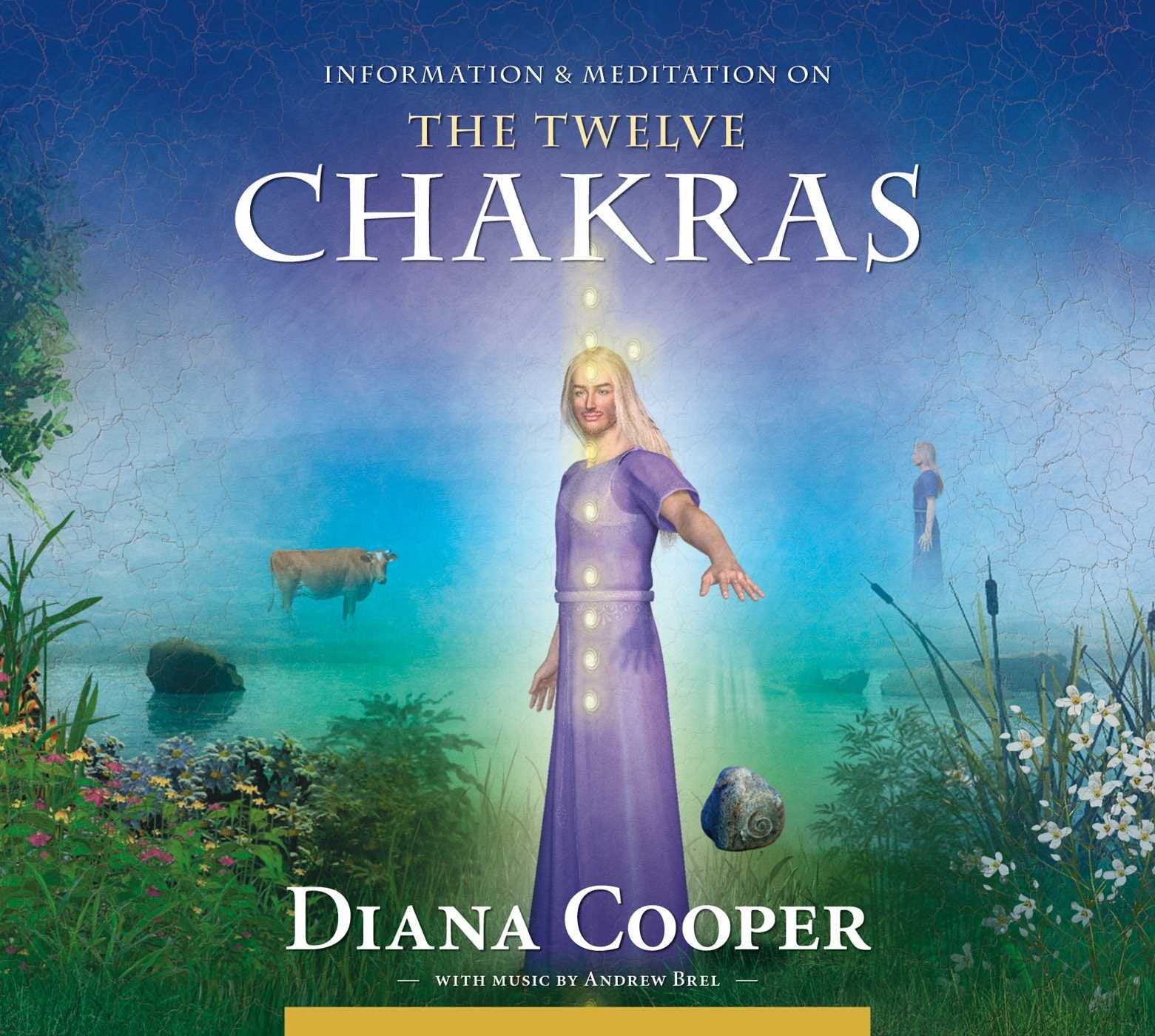 The Twelve Chakras: Information and Meditation (Information & Meditation) Social Sciences