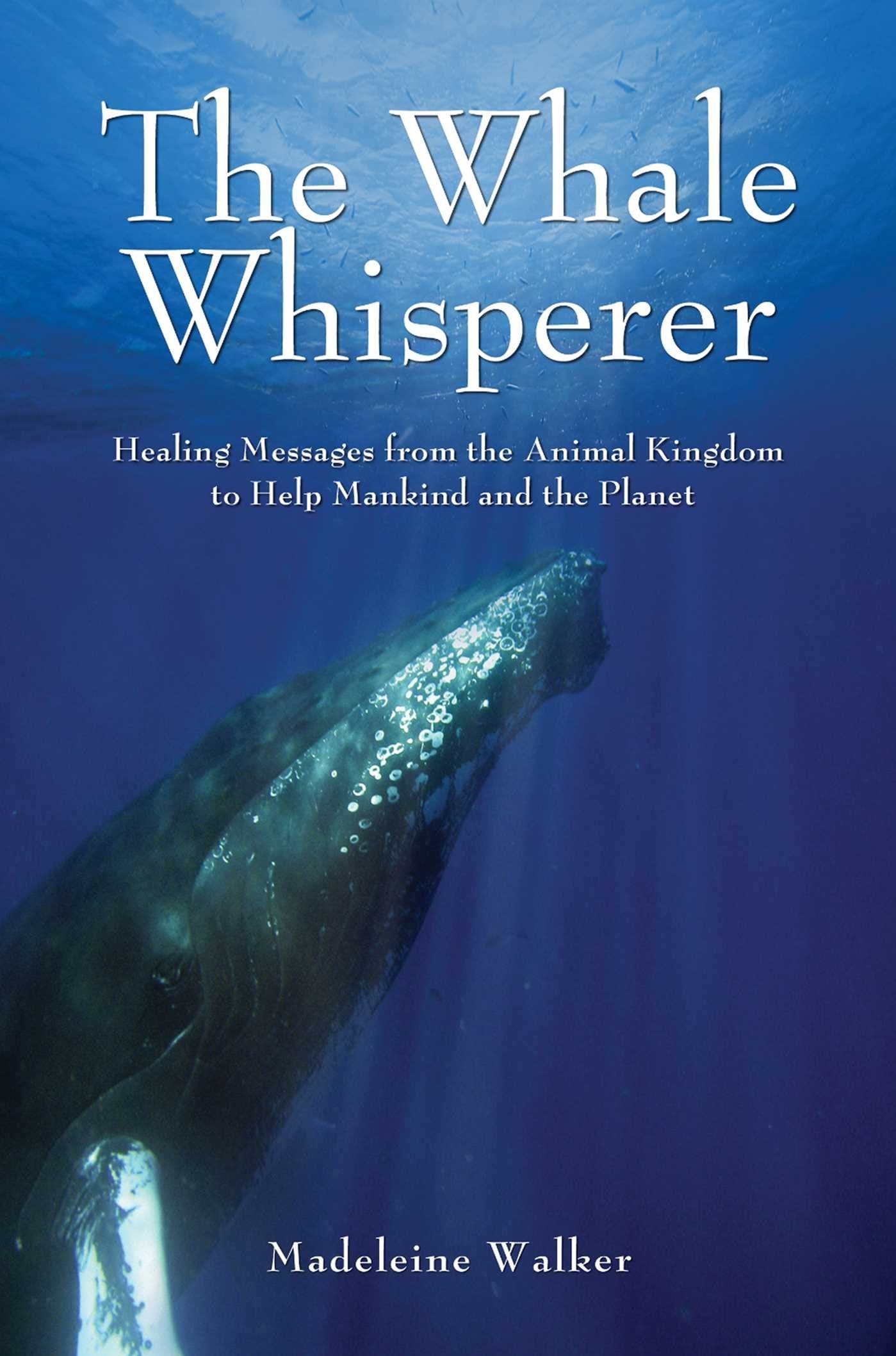 The Whale Whisperer Mathematics Books