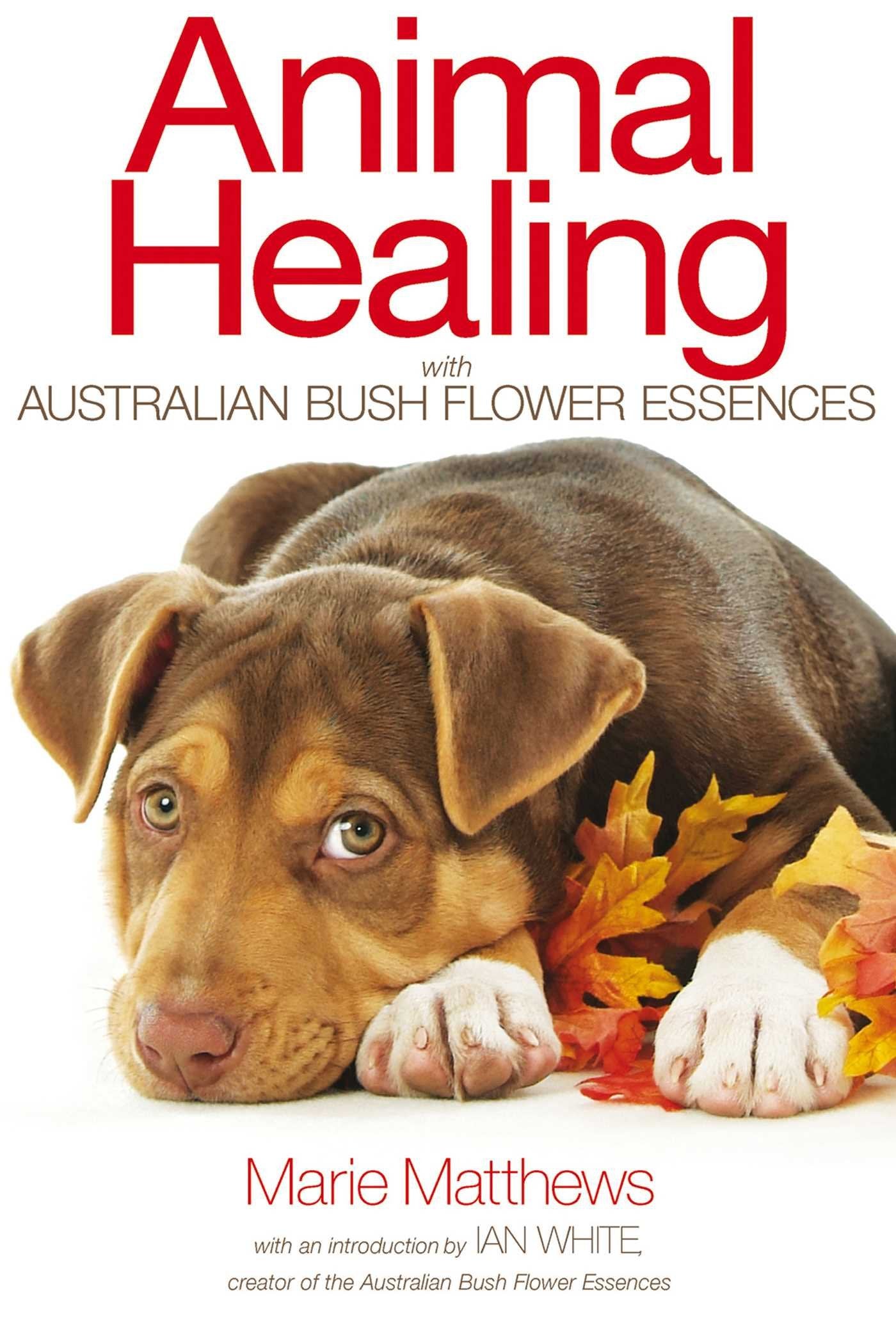 Animal Healing with Australian Bush Flower Essences Medicine
