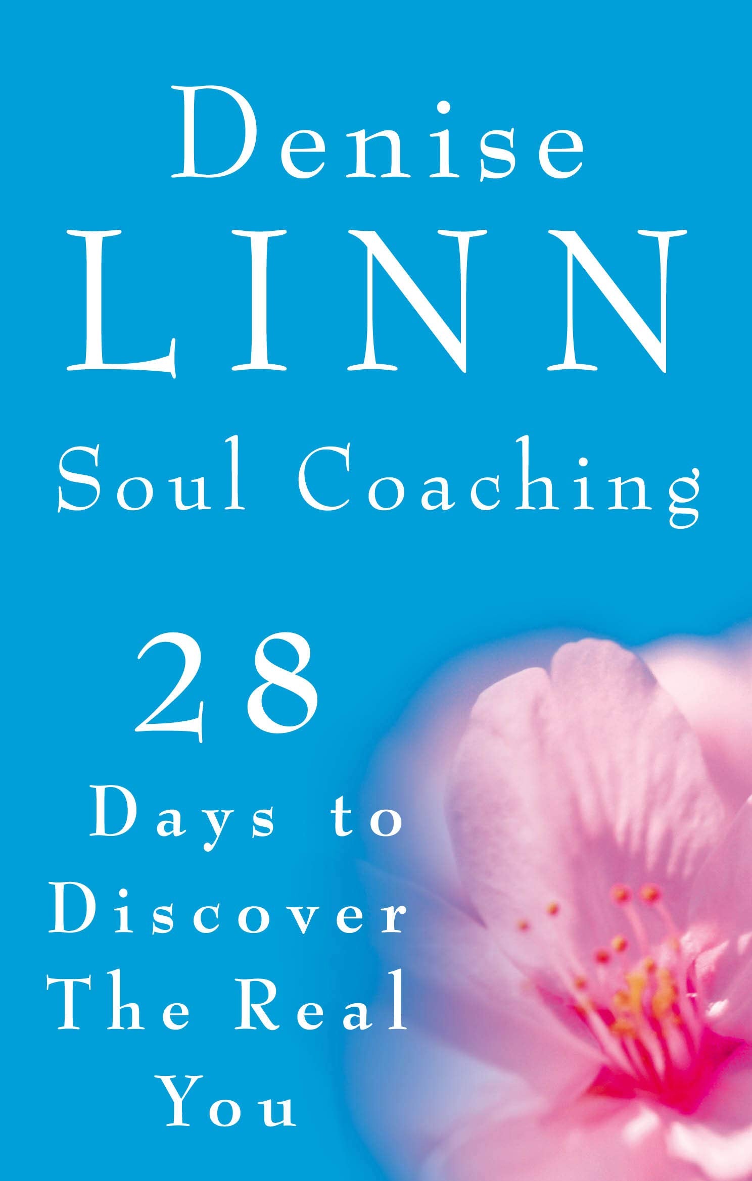 Soul Coaching: 28 Days to Discover the Real You Business, Finance & Career
